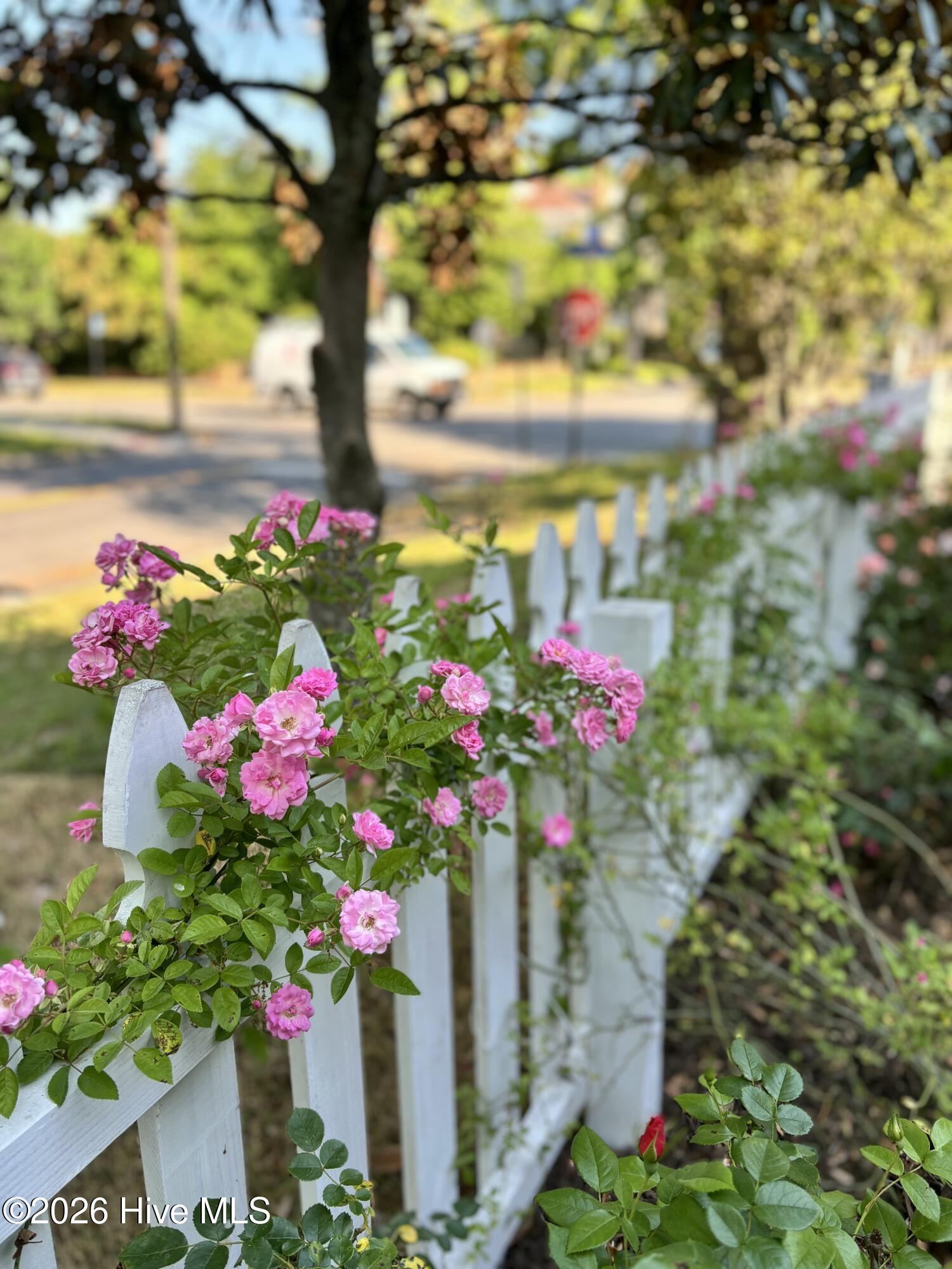 100566277 | Photo 60