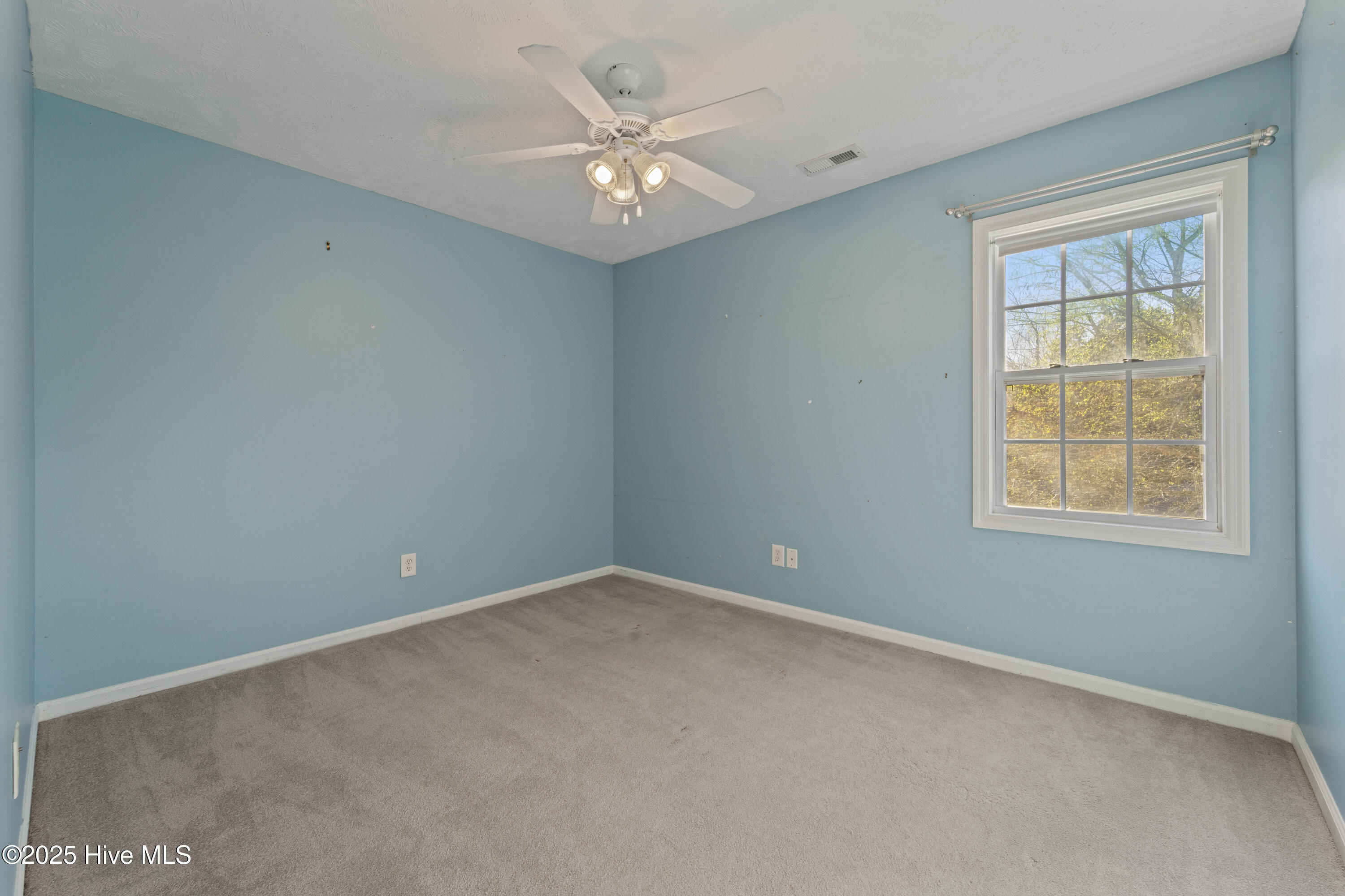 100556361 | Photo 16