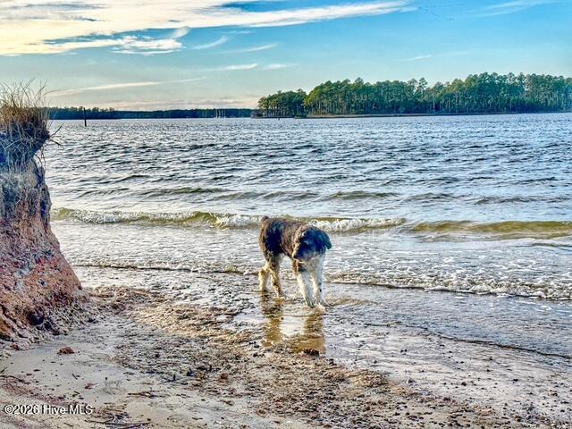 71 Jayne Point, Oriental, NC, 28571