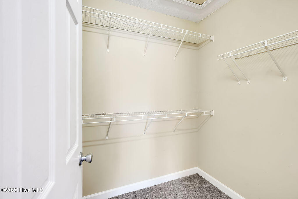 100570666 | Photo 16