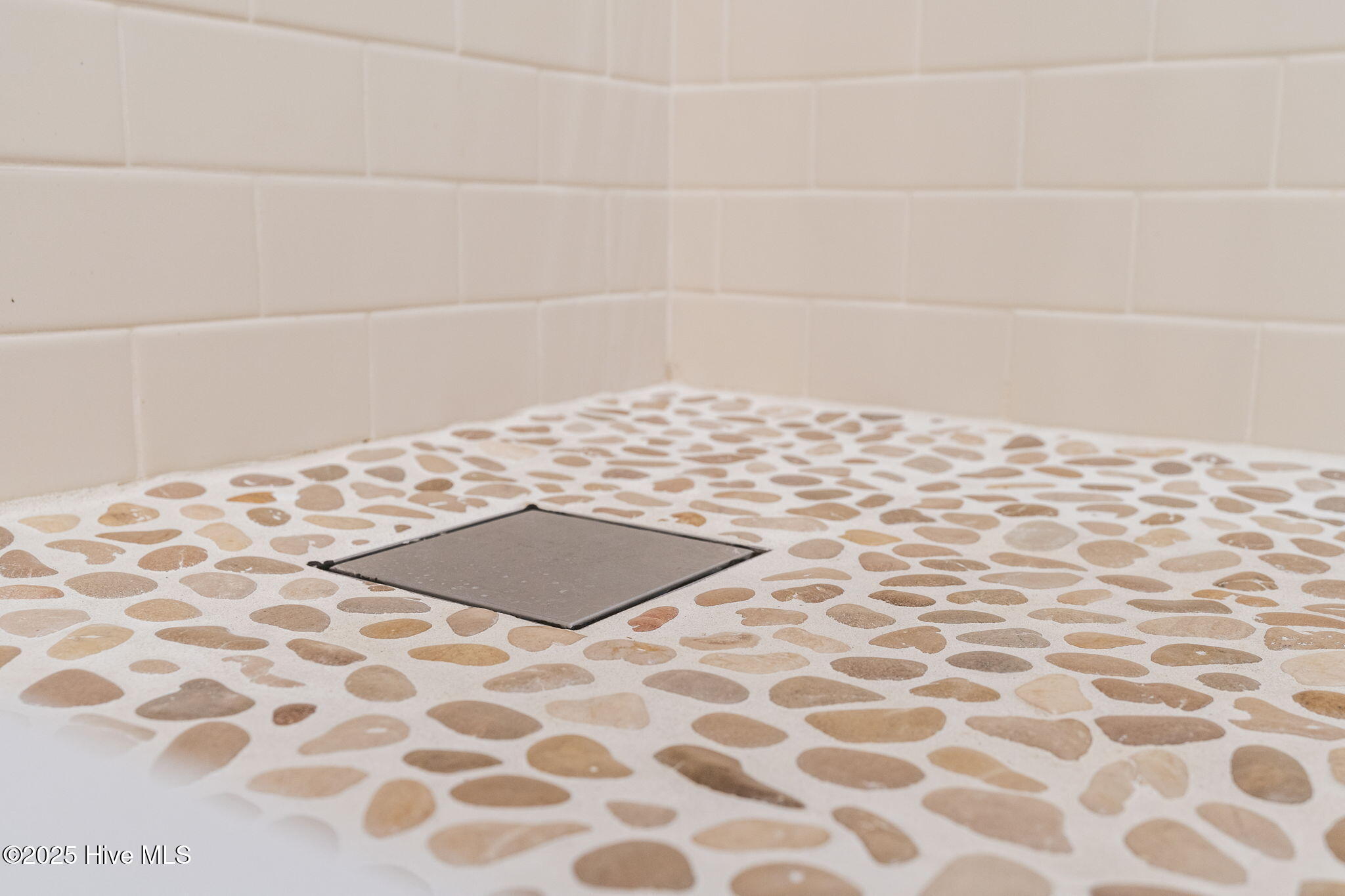 100543125 | Photo 25