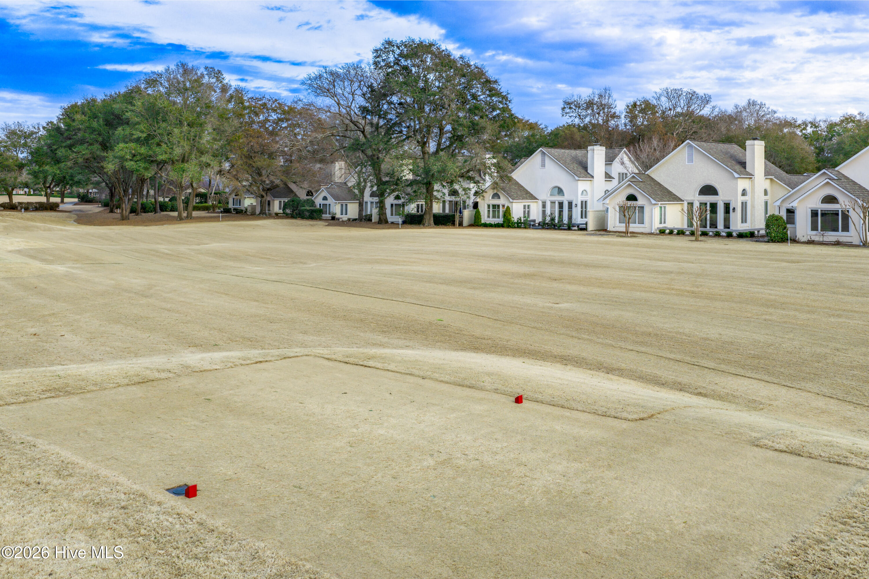 100553982 | Photo 46