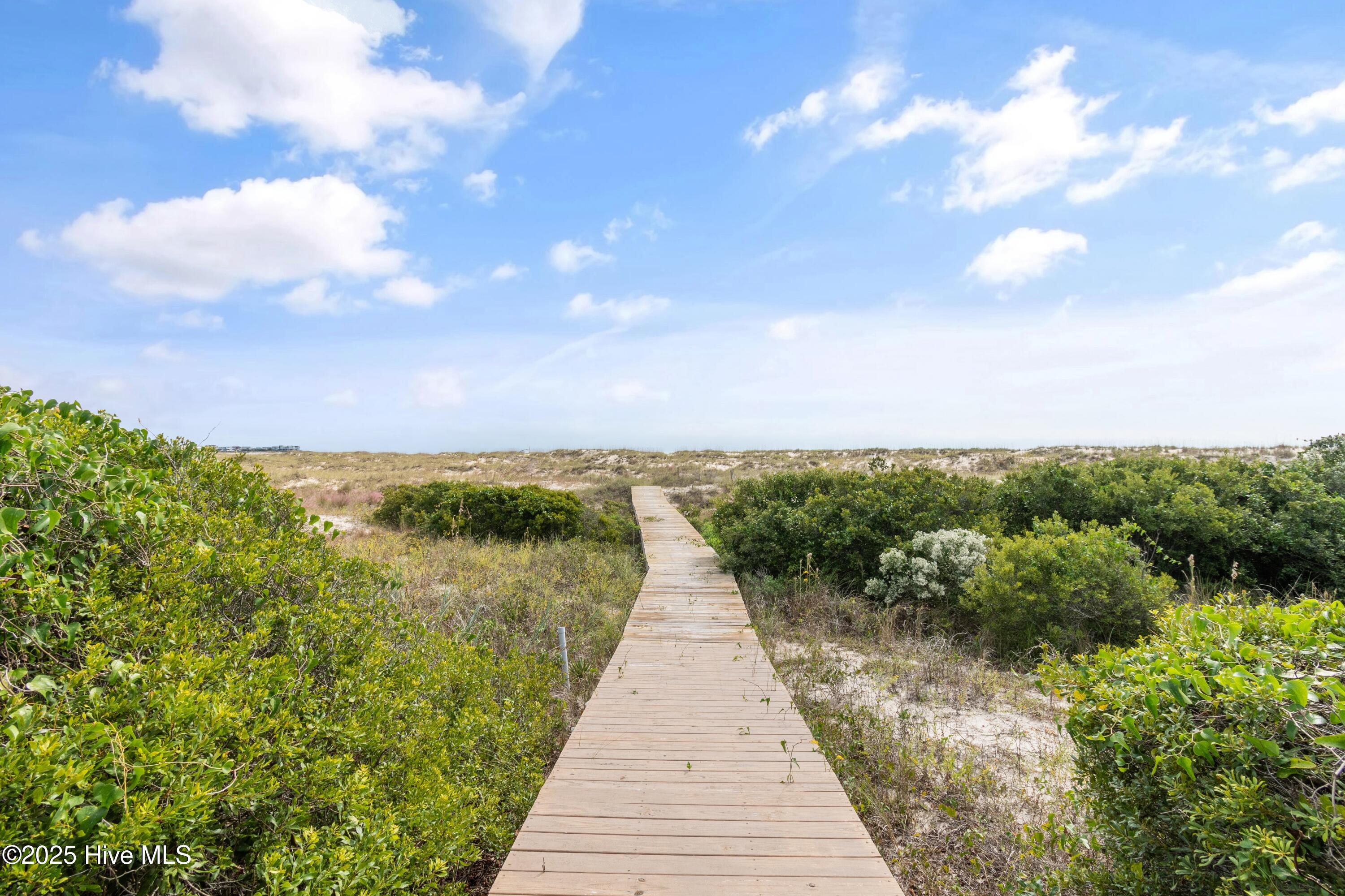 100536702 | Photo 124