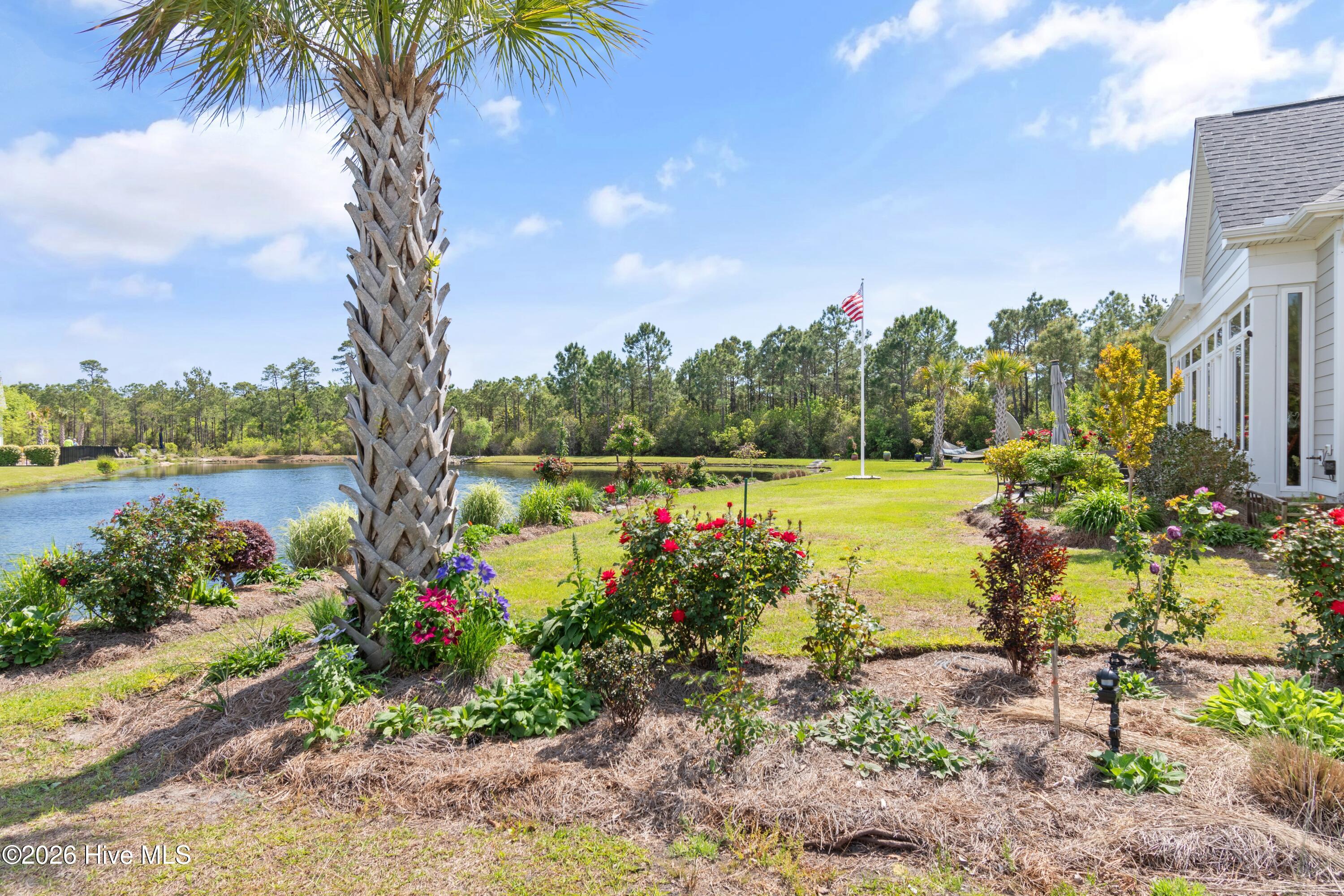 100560288 | Photo 74