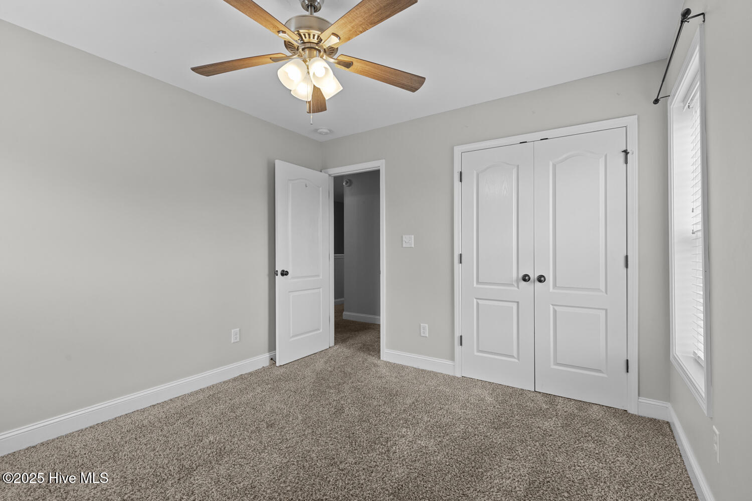 100523446 | Photo 25