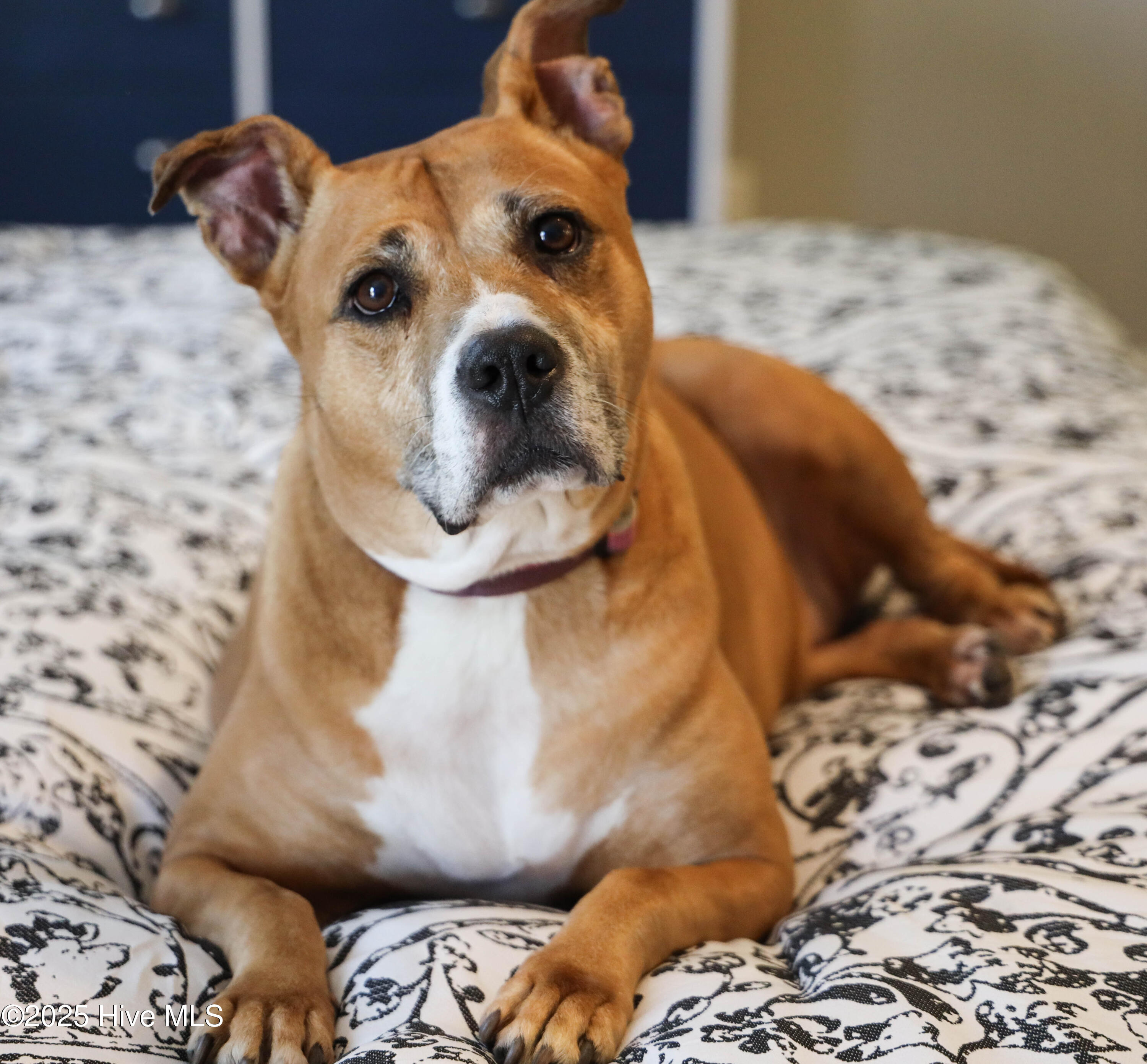 100540094 | Photo 78