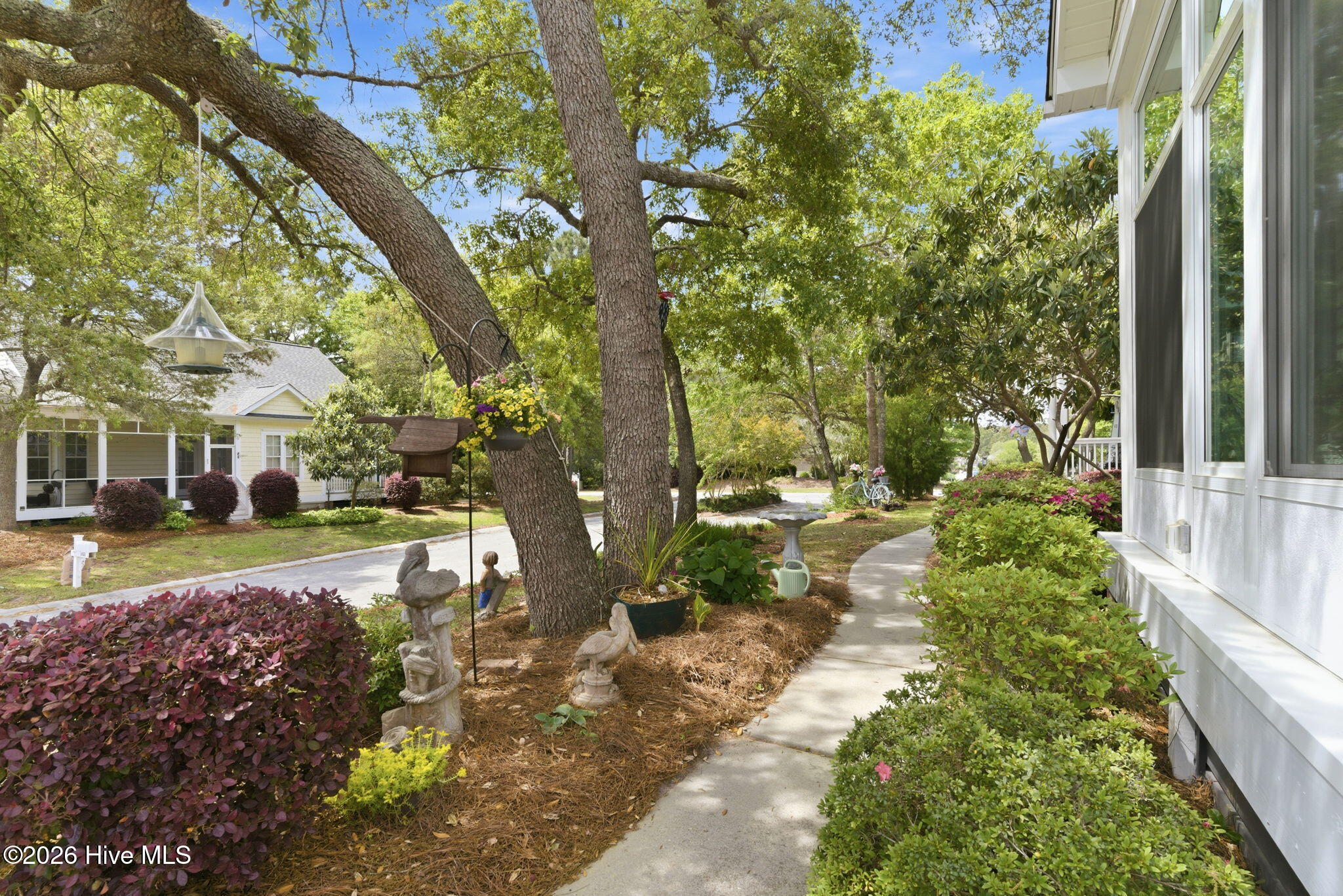 100569459 | Photo 37