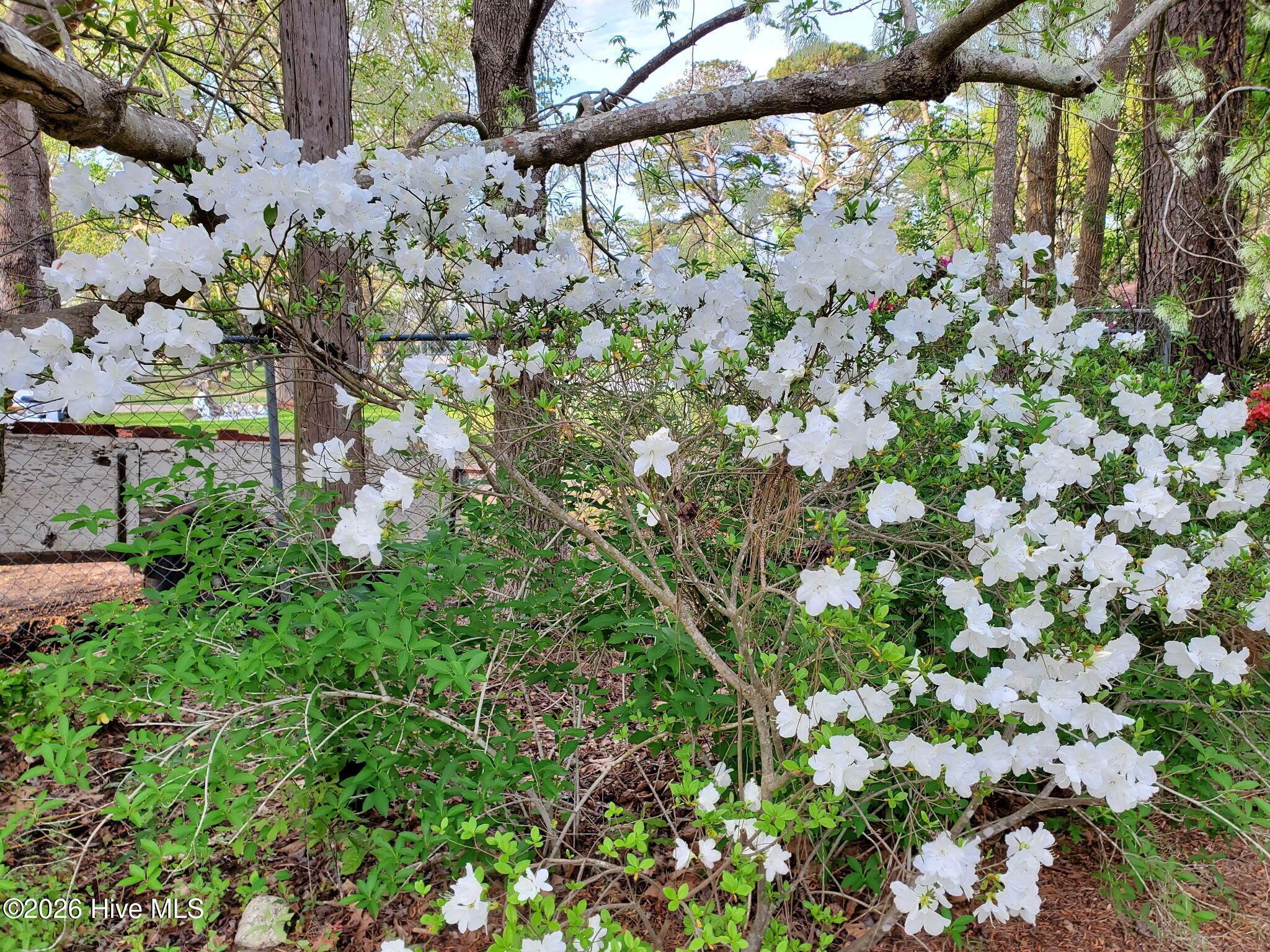 100548233 | Photo 30