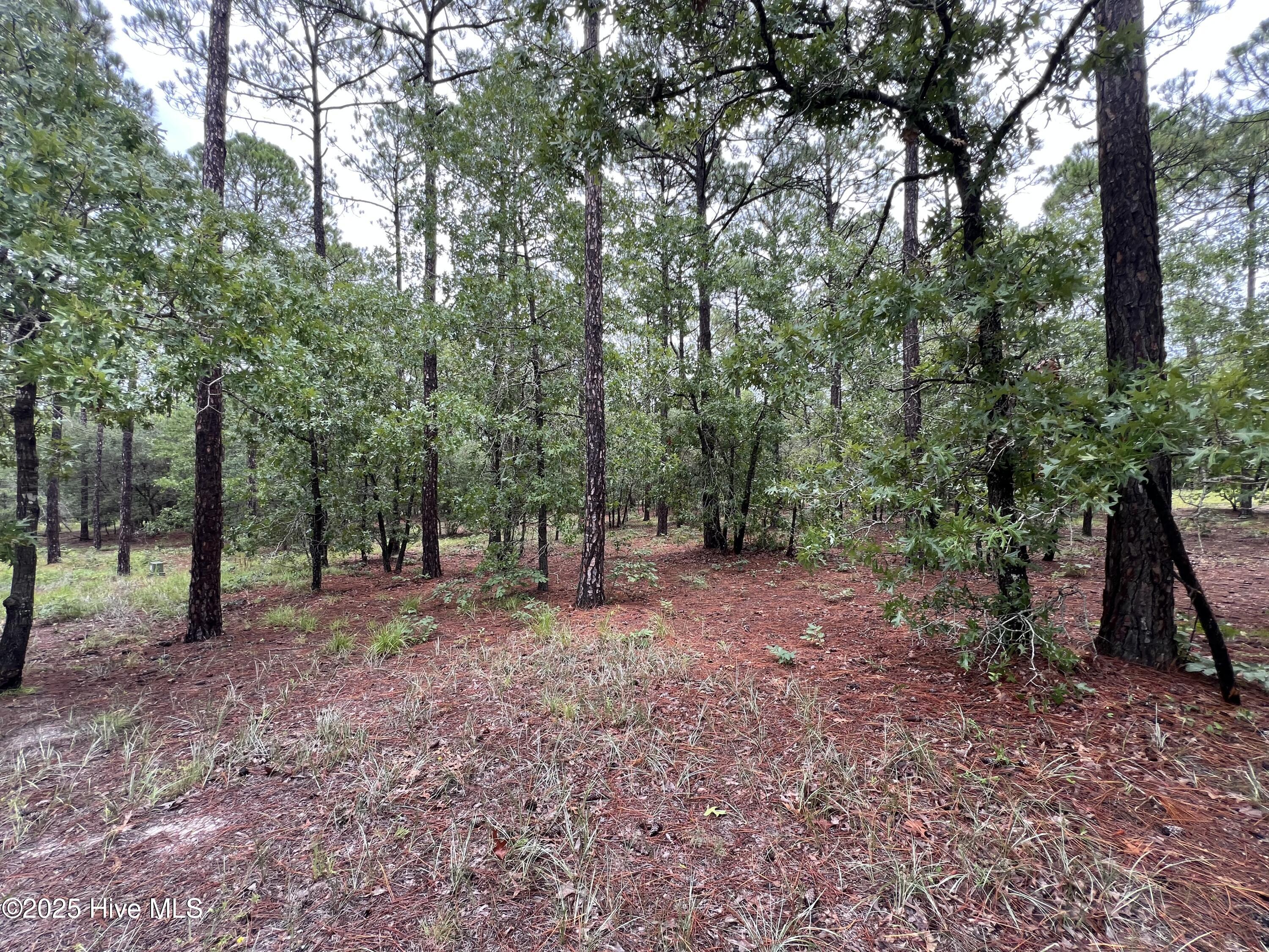 100527062 | Photo 12