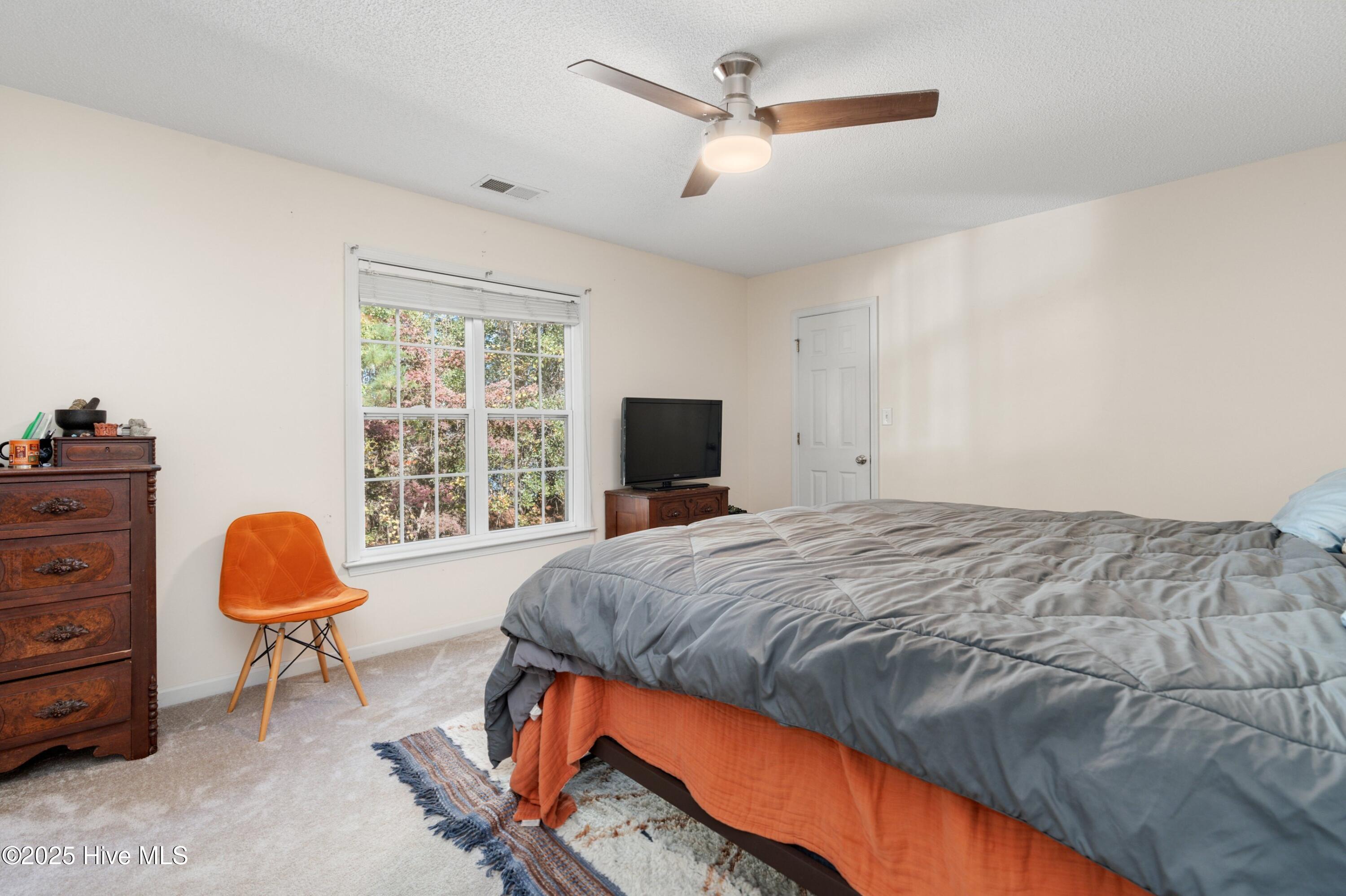 100565121 | Photo 24