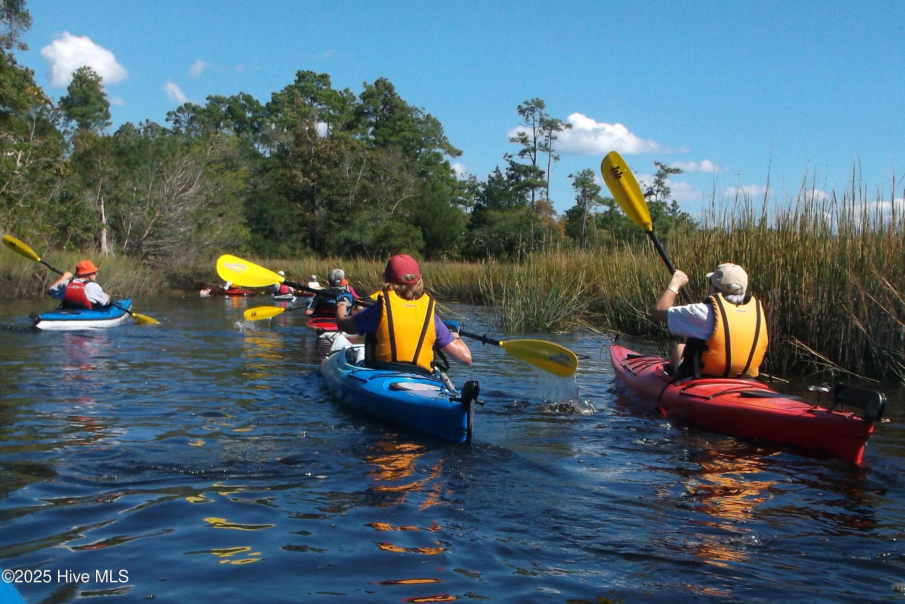 100543125 | Photo 81