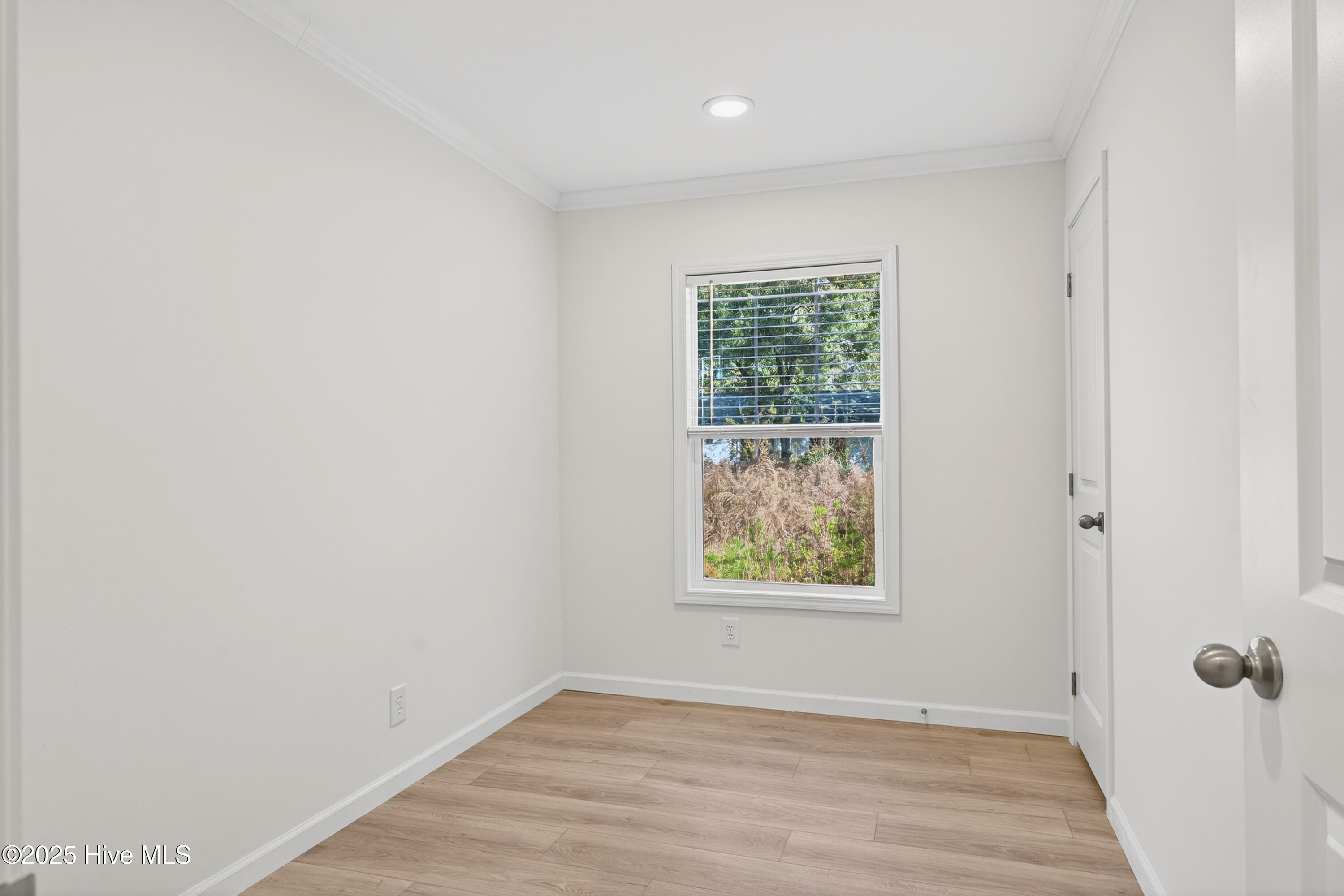 100542512 | Photo 19