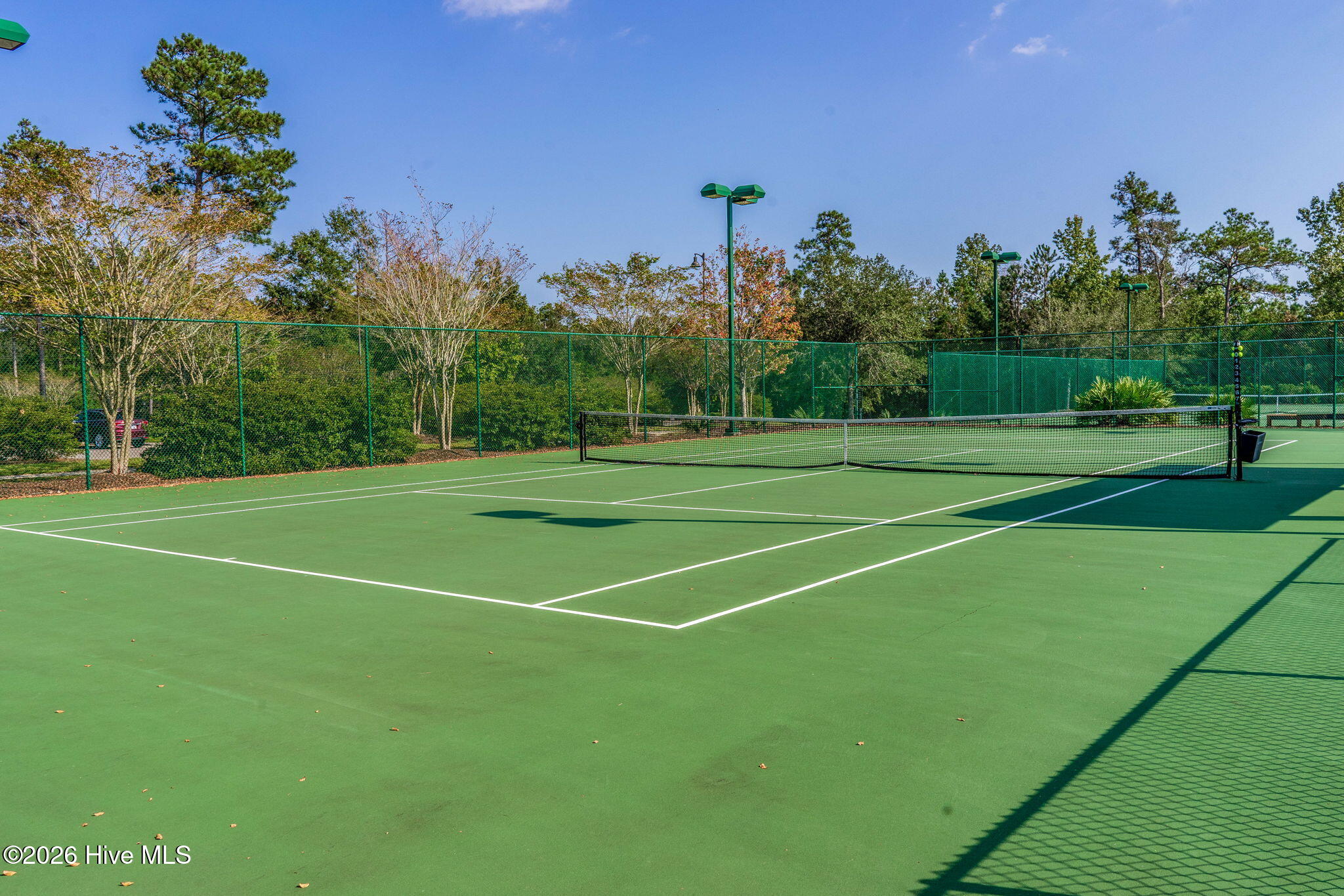 100557364 | Photo 65