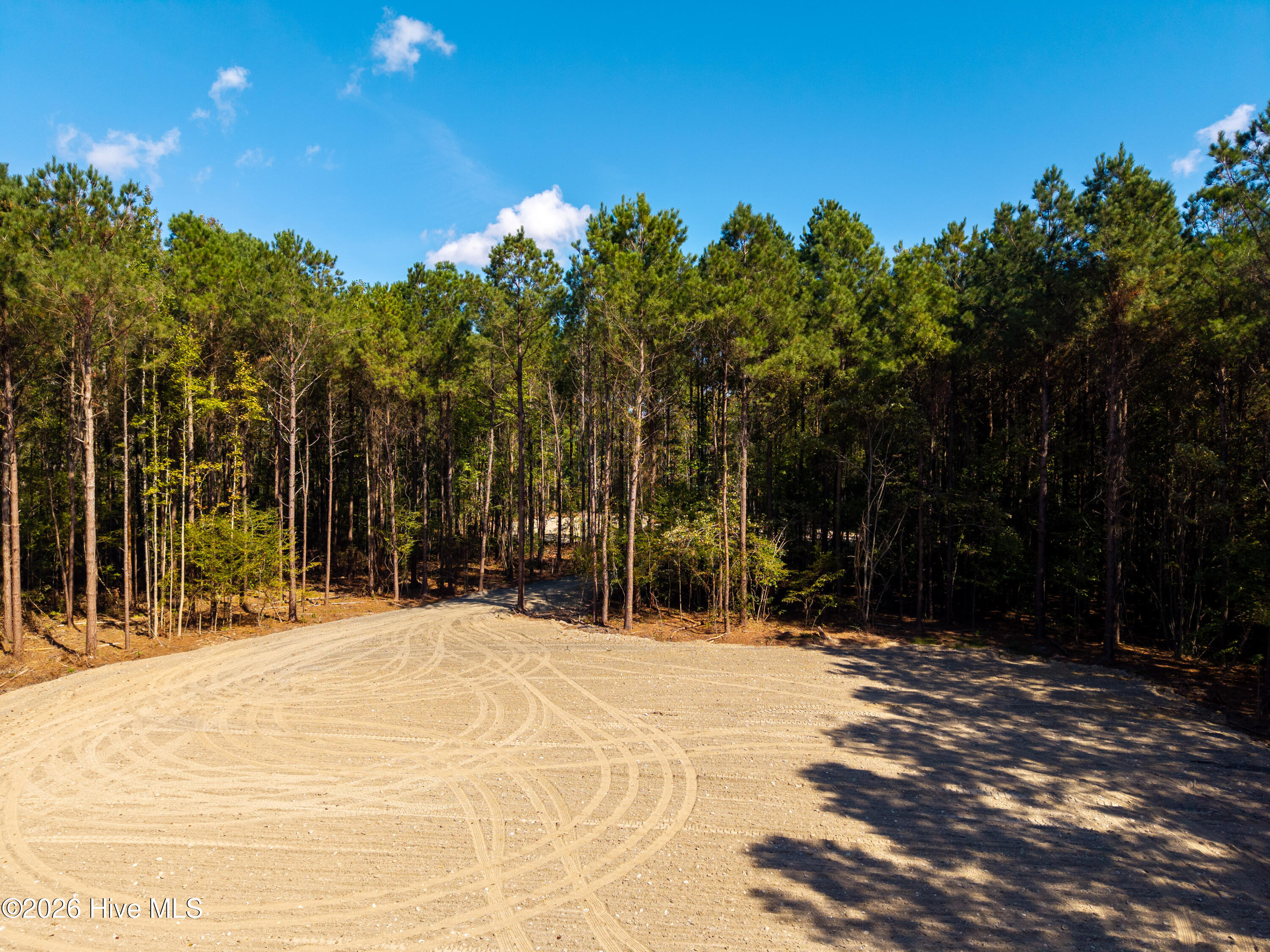 100608419 | Photo 2