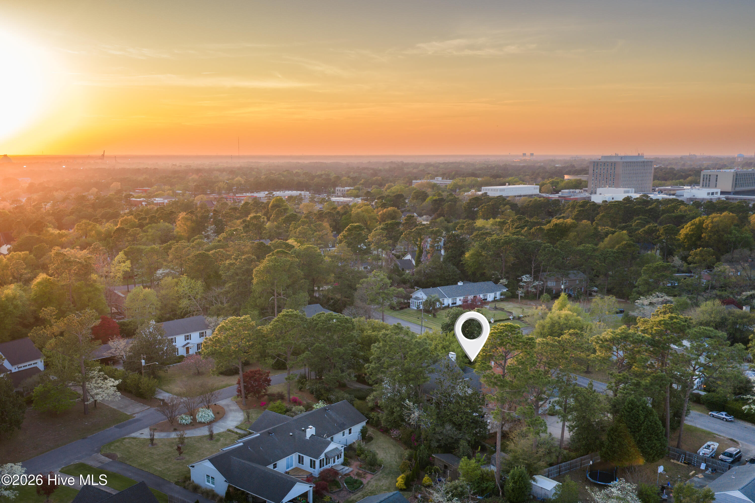 100565005 | Photo 51