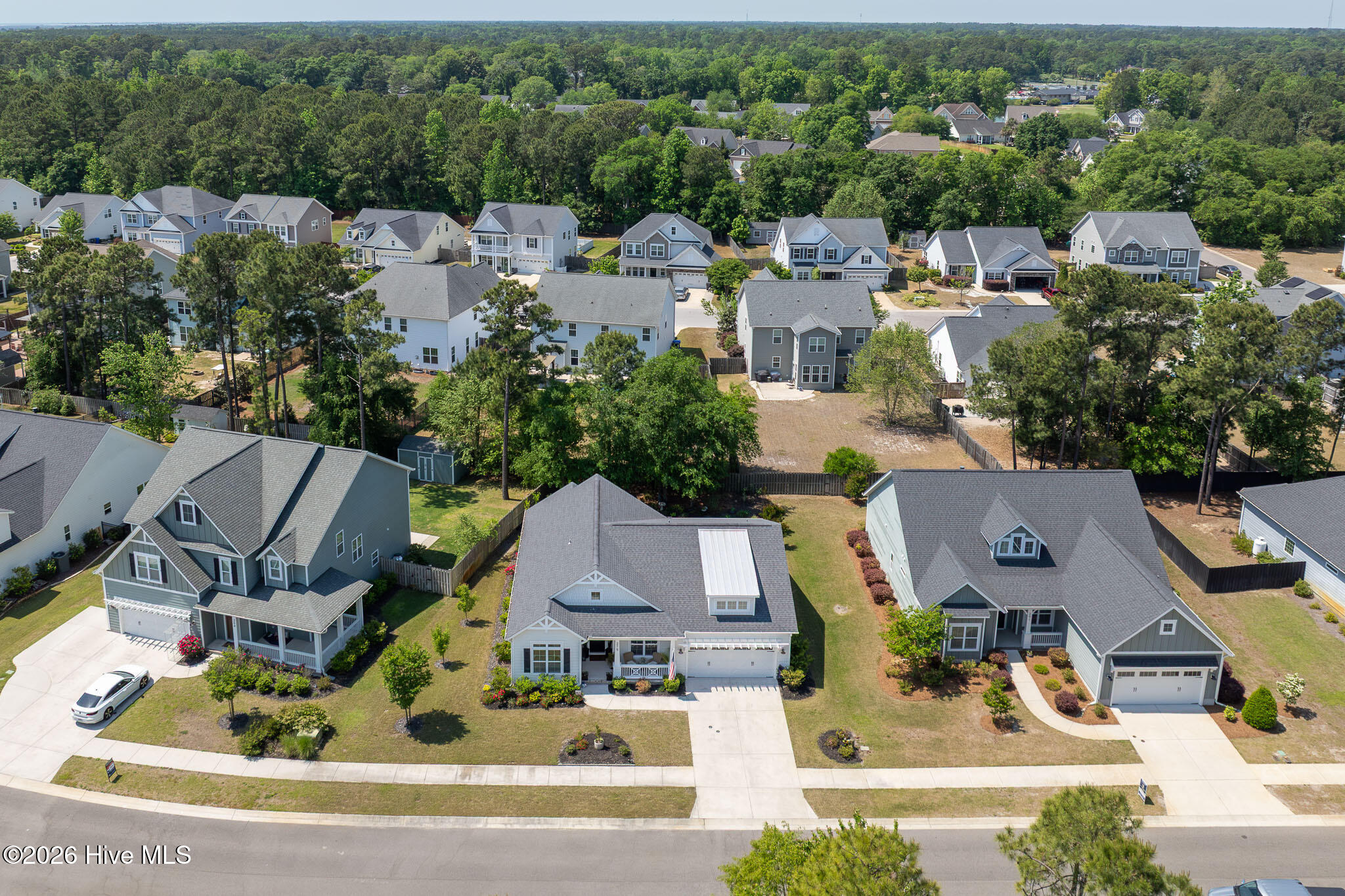 100569599 | Photo 38