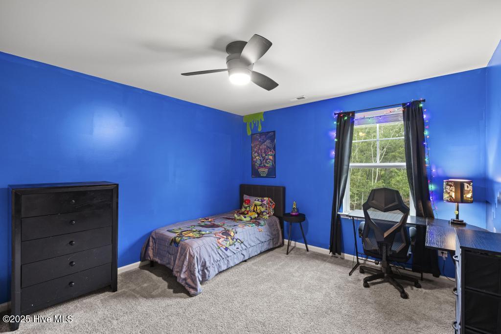 100536703 | Photo 20