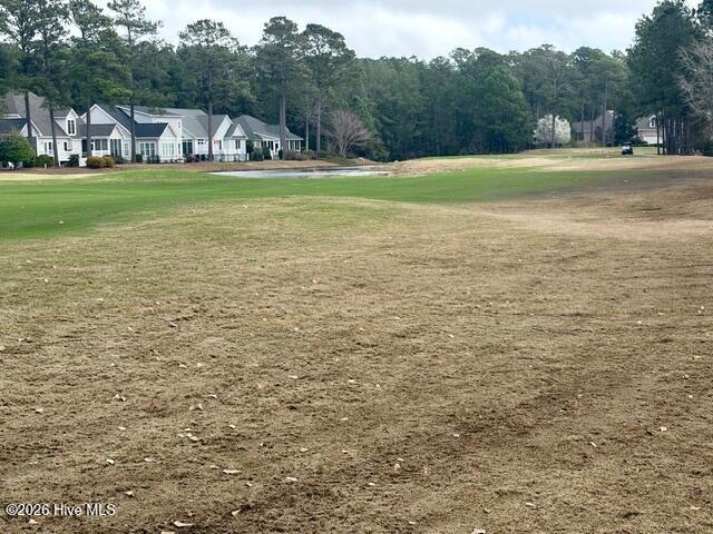 100559820 | Photo 12