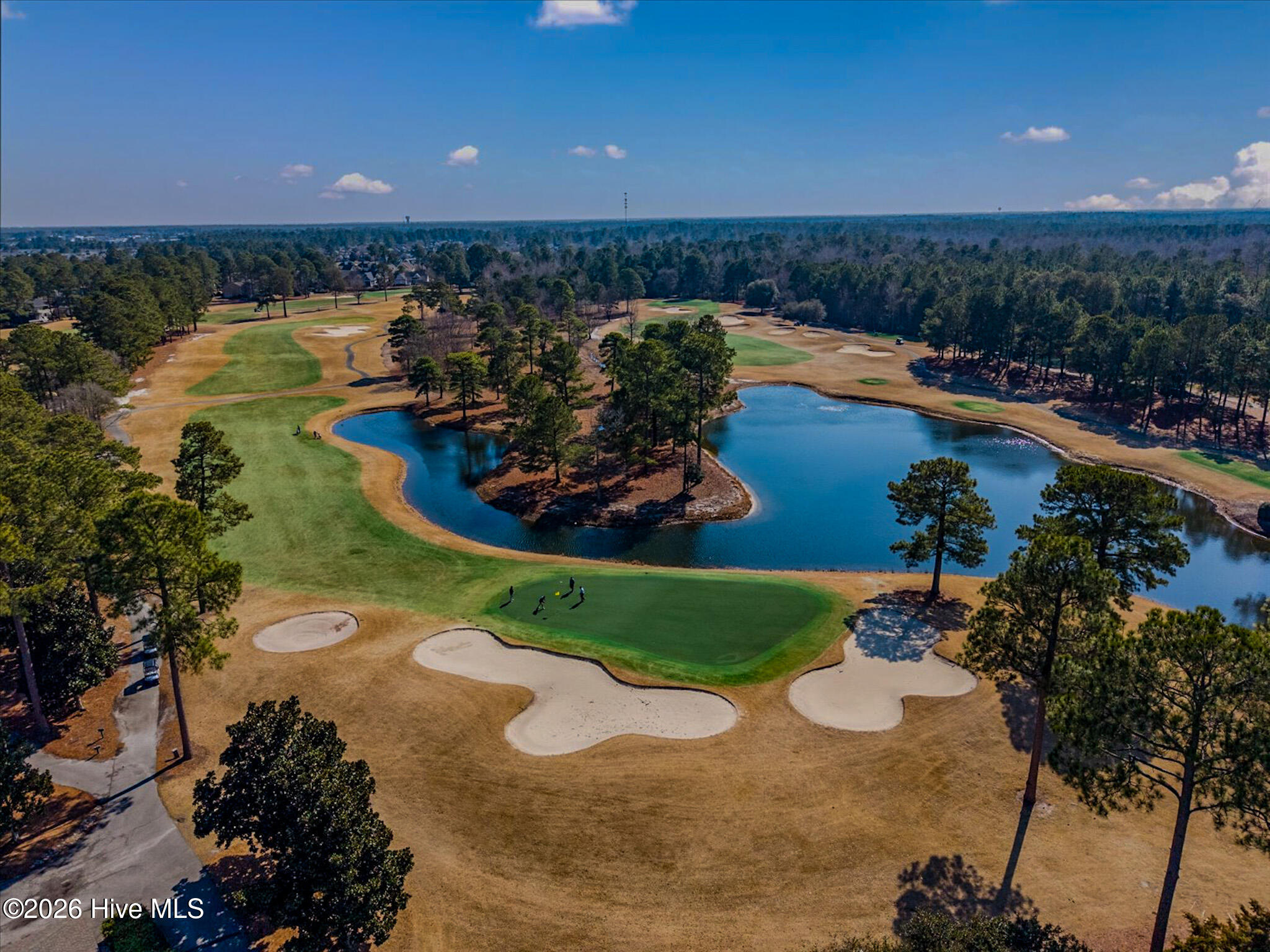 100554989 | Photo 50