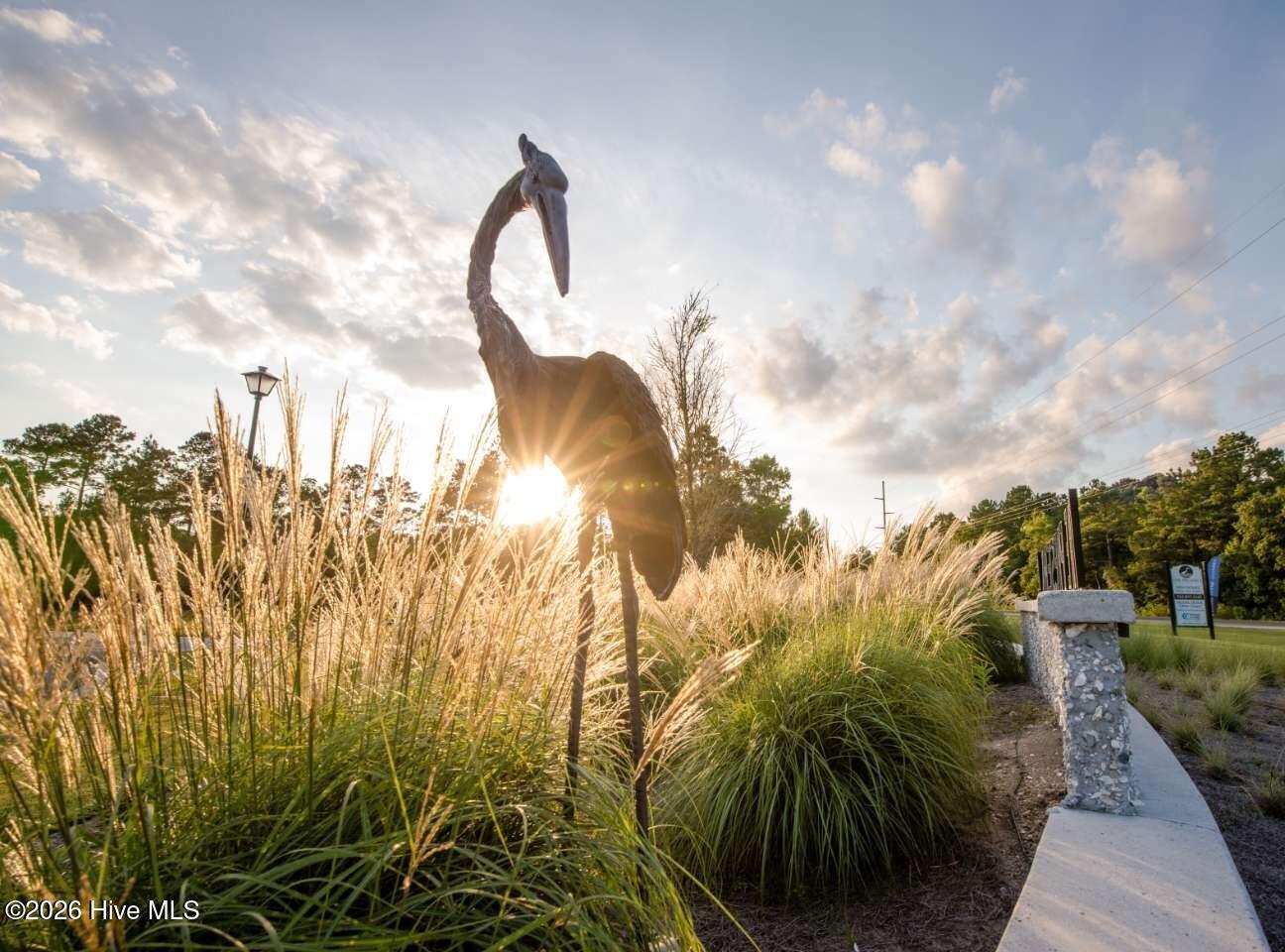 100546309 | Photo 43