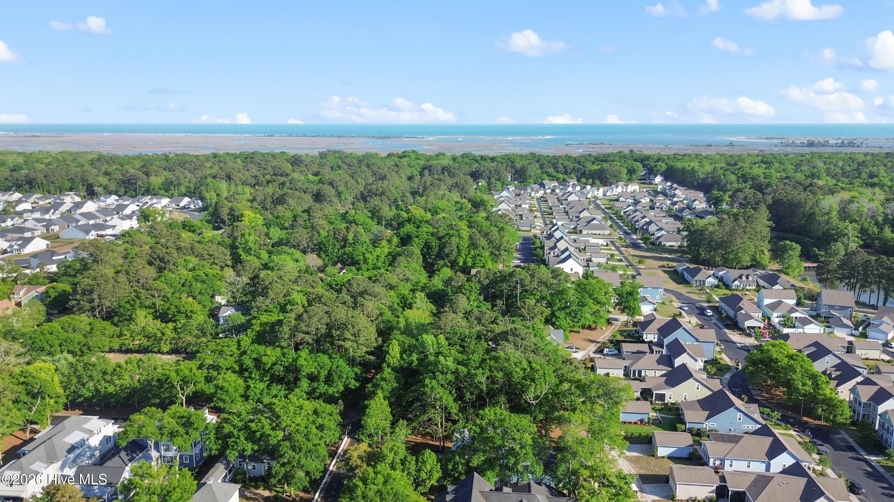 100558704 | Photo 13