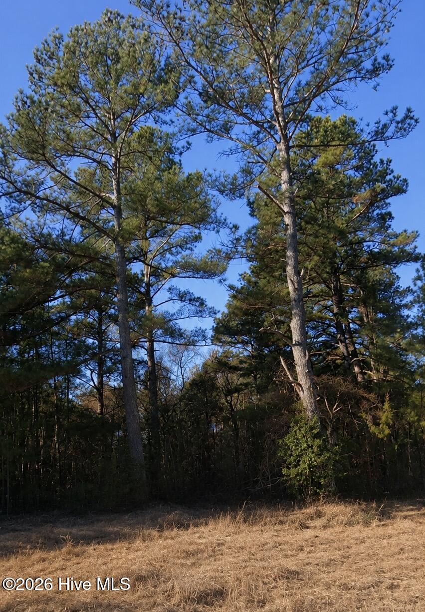 Exterior photo of 000 Roanoke Chapel Road, Littleton, NC 27850. MLS: 100591573