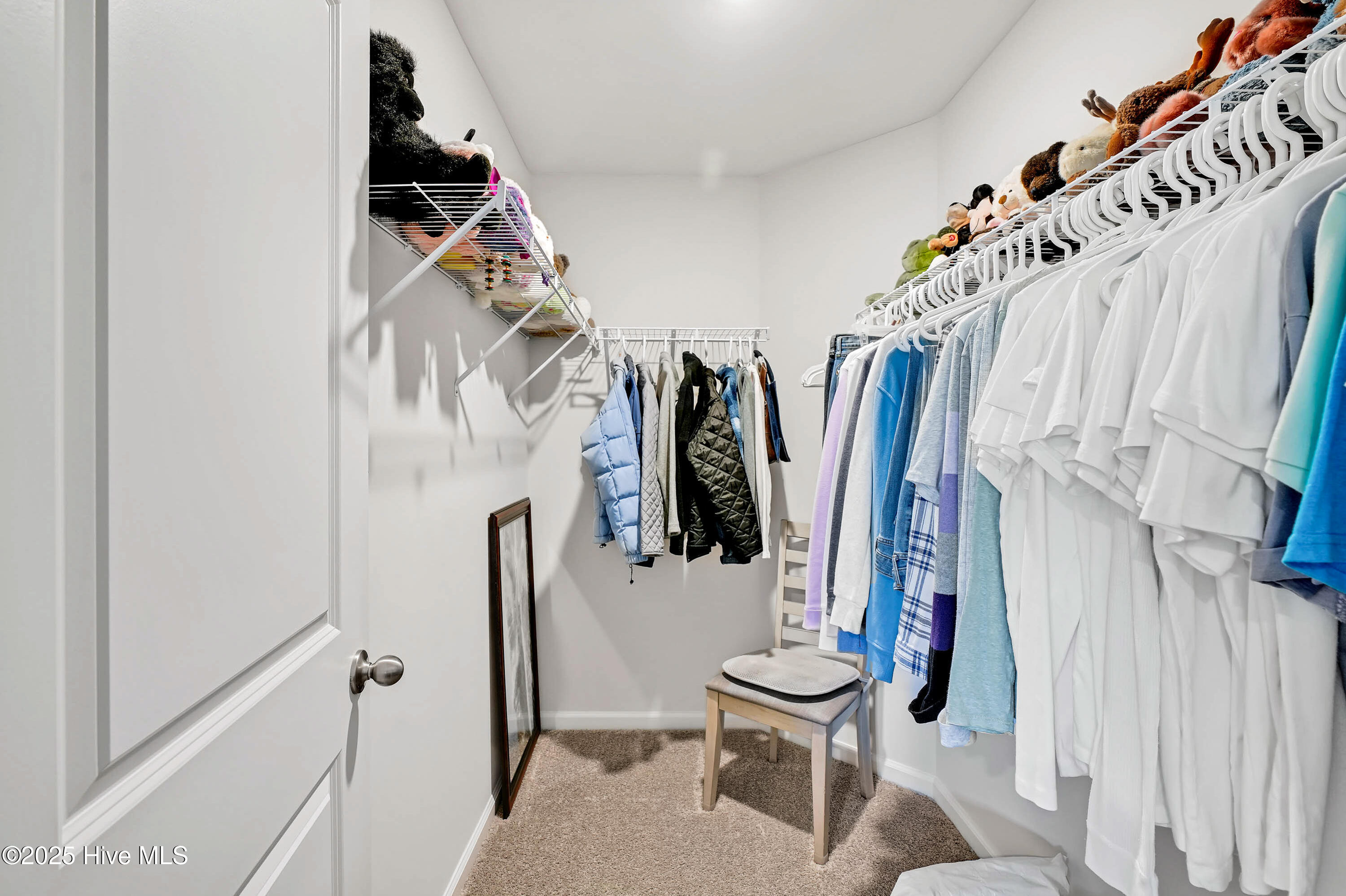 100557853 | Photo 22