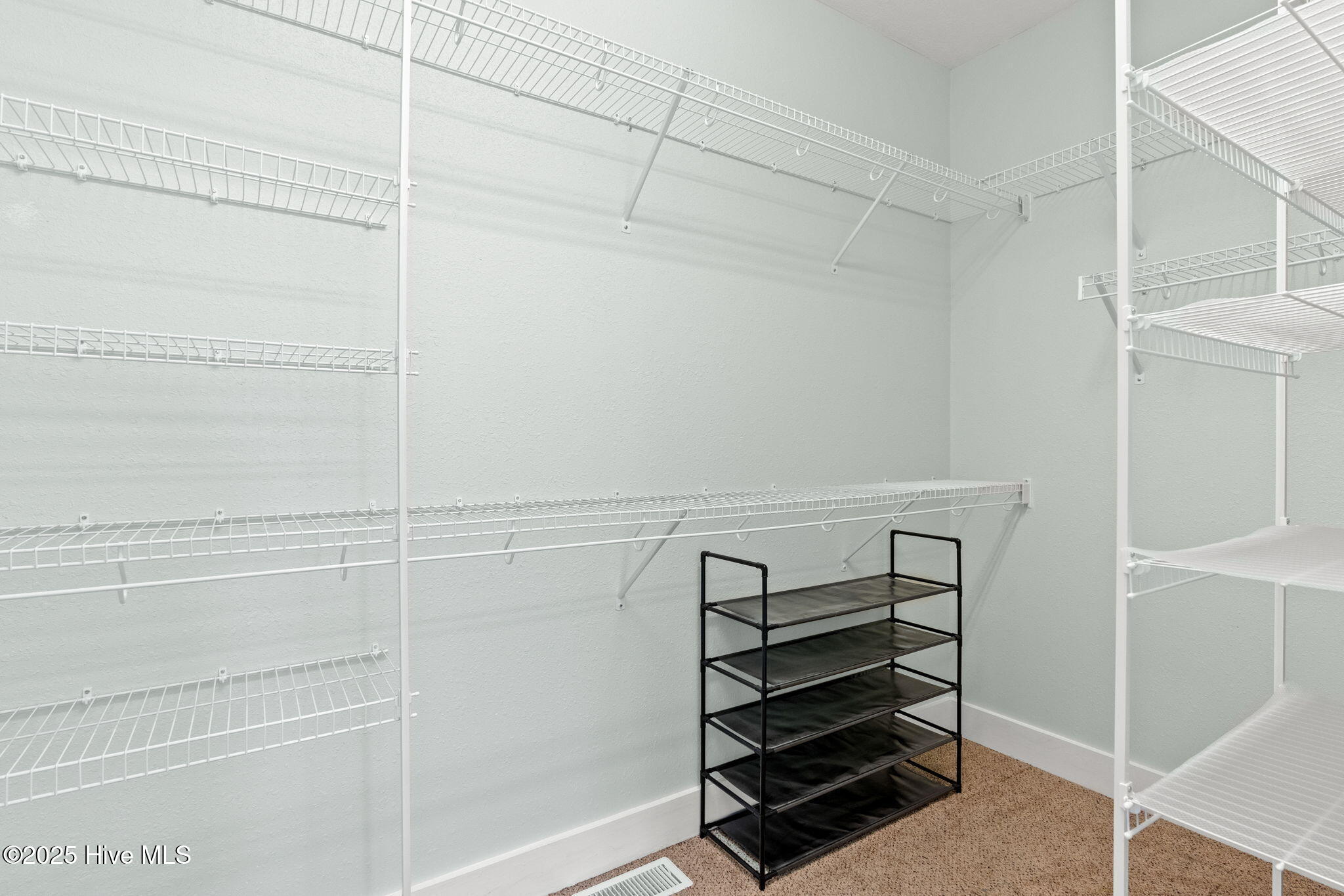 100495043 | Photo 19