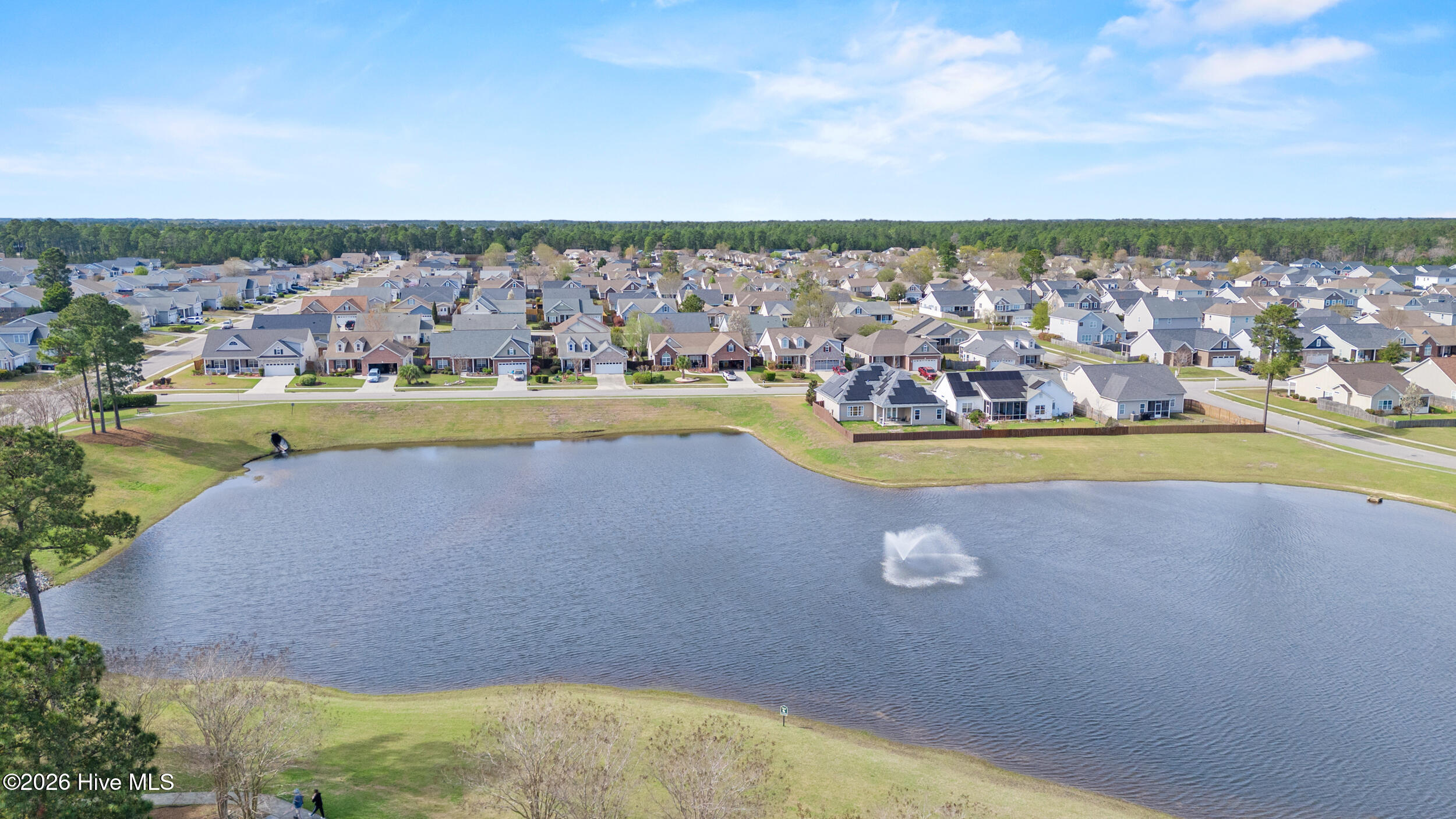 100555457 | Photo 30