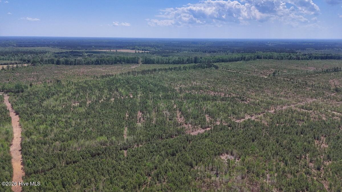 0 Guinea Mill Road, Ernul, NC, 28527