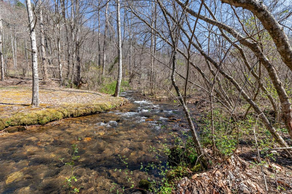 Lots 12+ Tusquittee, Hayesville, North Carolina, 0 ,For sale,Tusquittee,98525066 Lots 12+ Tusquittee, Hayesville, North Carolina, 0 ,For sale,Tusquittee,98525066