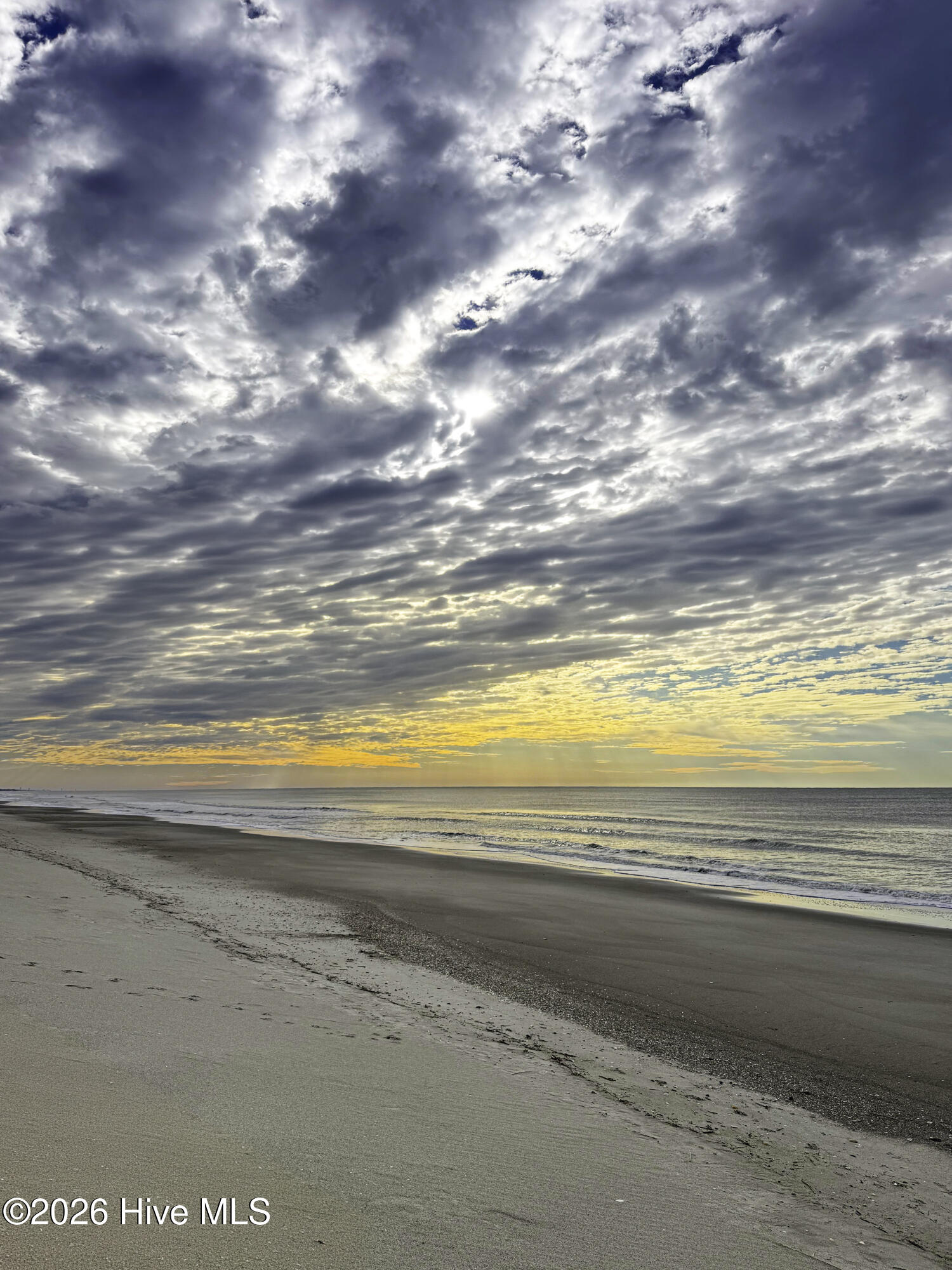 100554981 | Photo 122