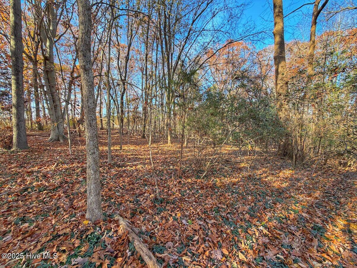 0 Mabry Mill Road, Henderson, NC, 27537