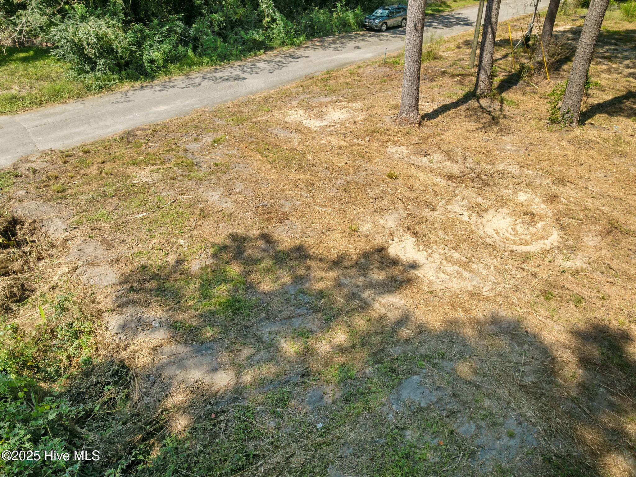 100546346 | Photo 11