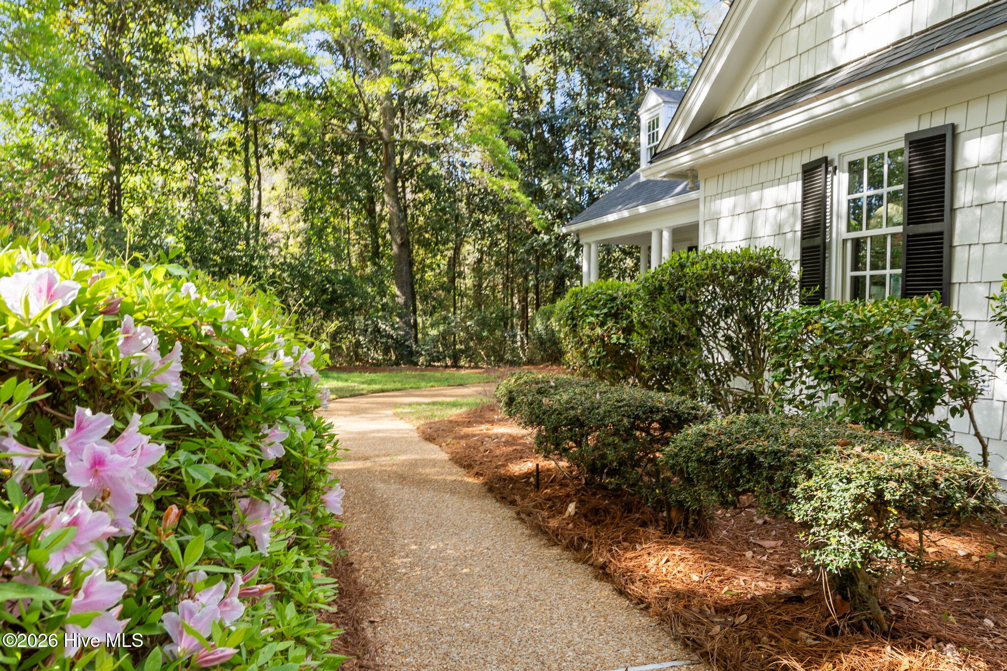 100556874 | Photo 11