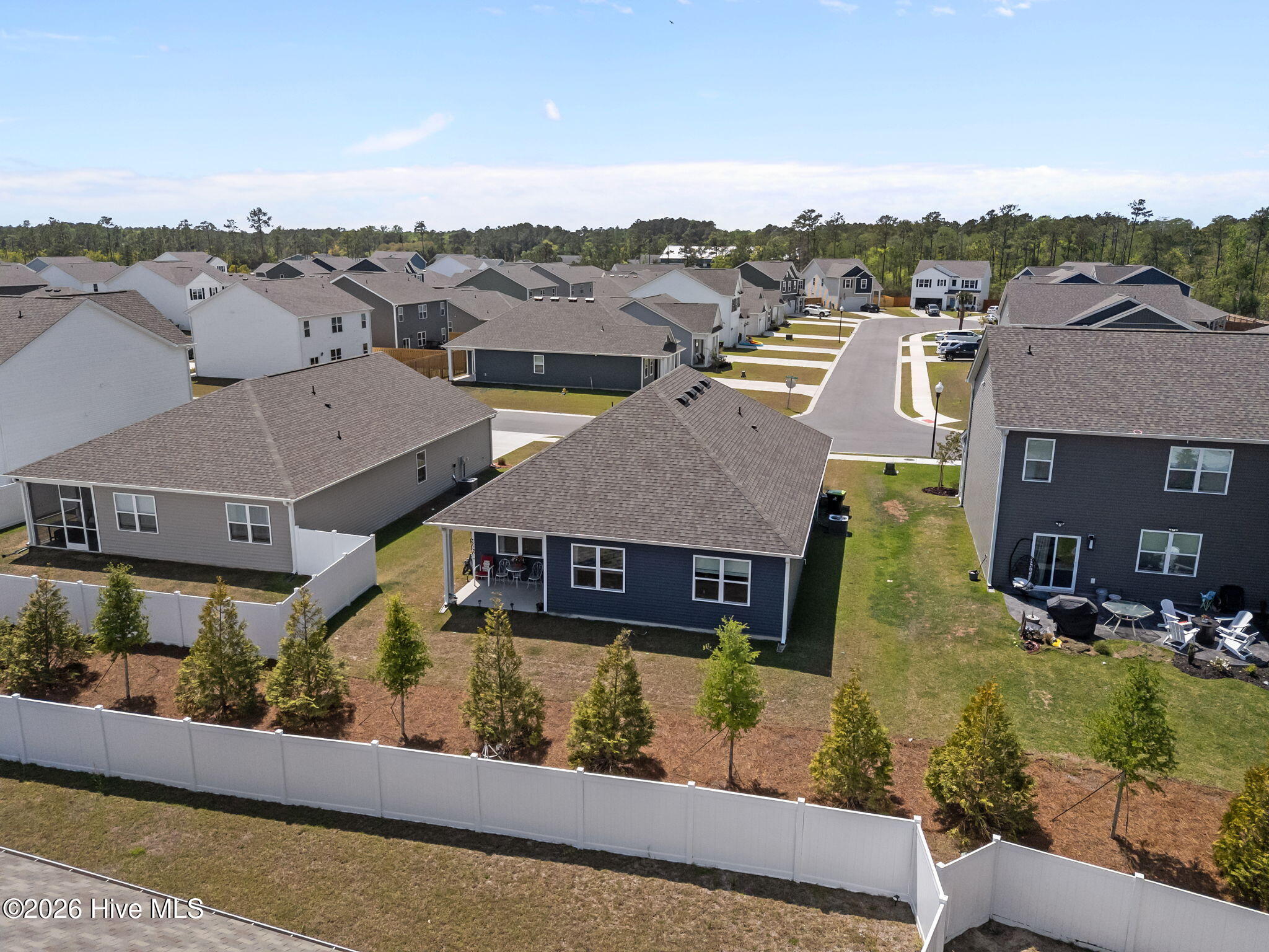 100567889 | Photo 51