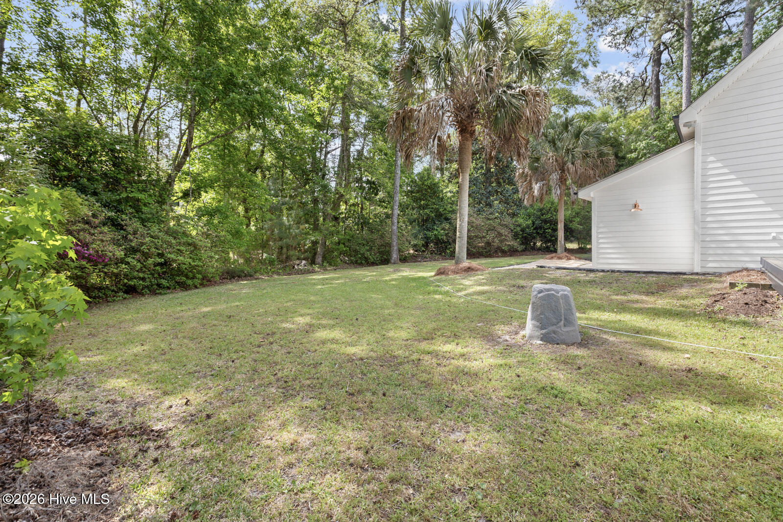 100569189 | Photo 52