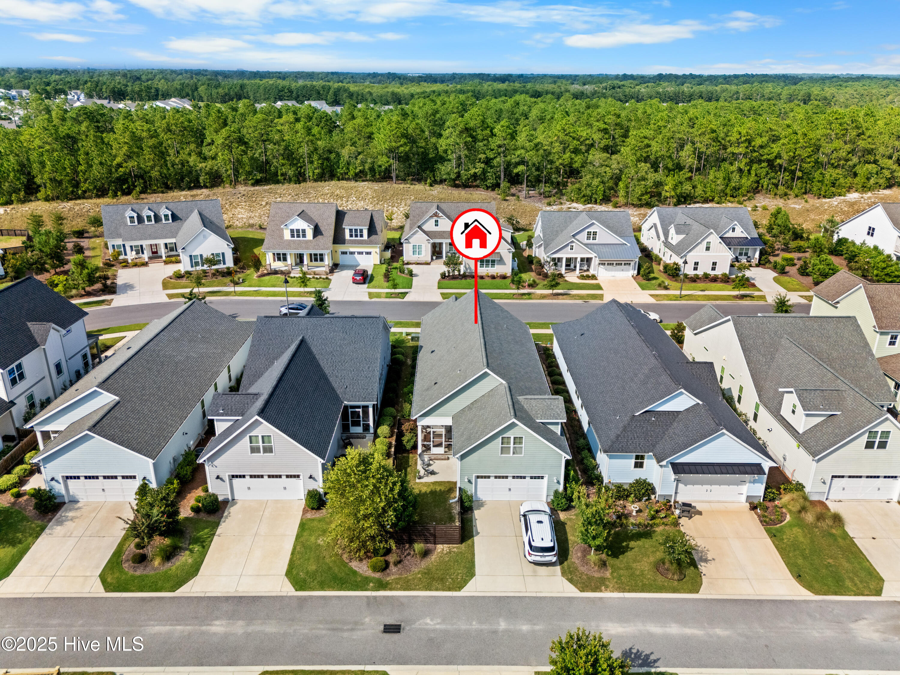 100526645 | Photo 46