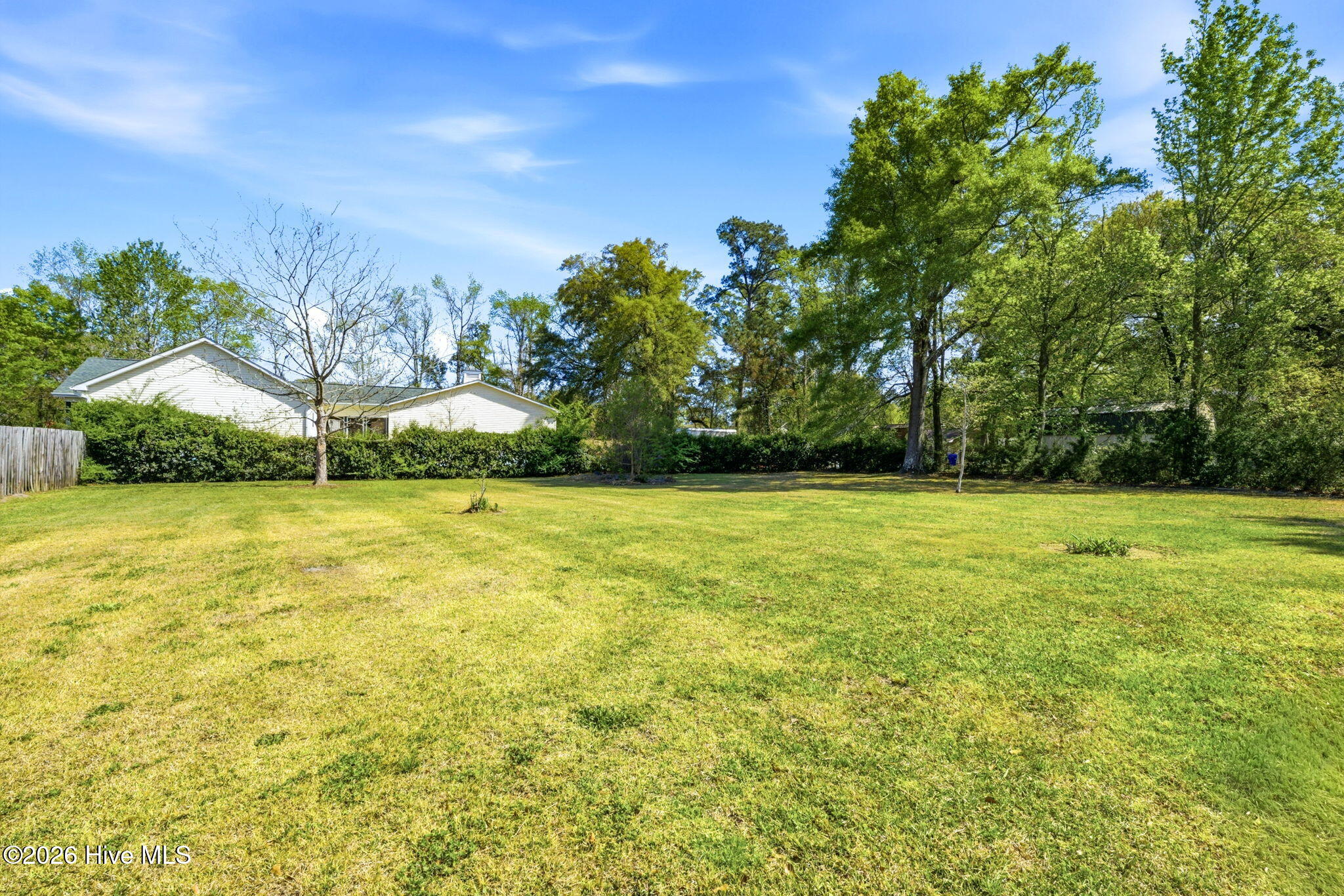 100564693 | Photo 32