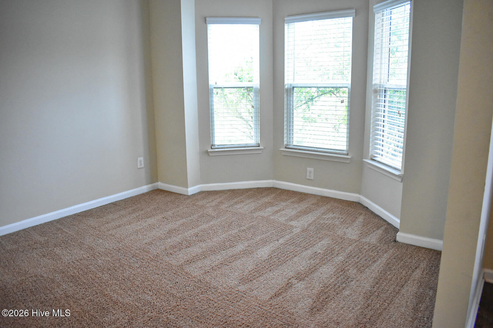 5334 Bull Street, Augusta, GA 30909 Listing Photo  2