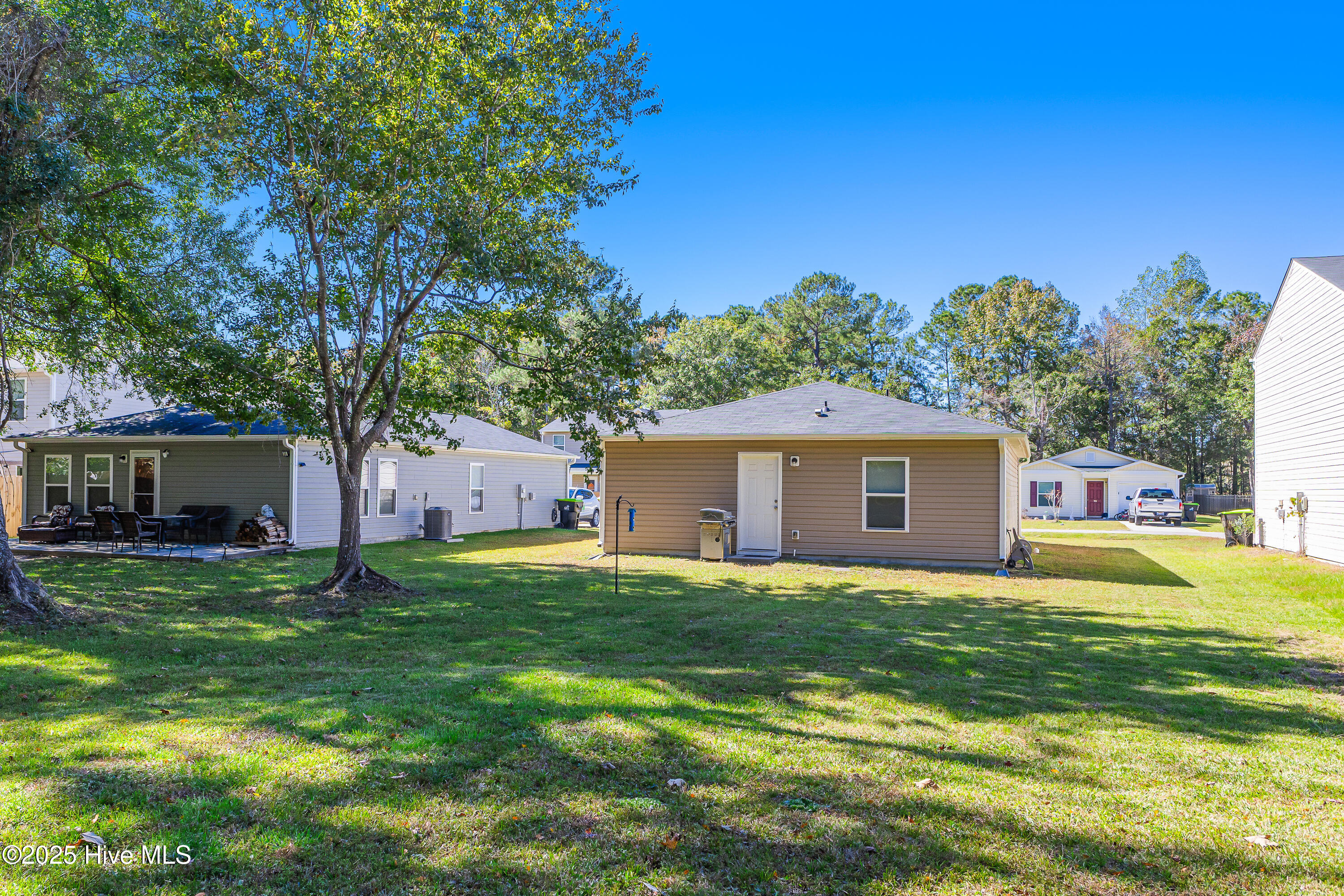 100537906 | Photo 30