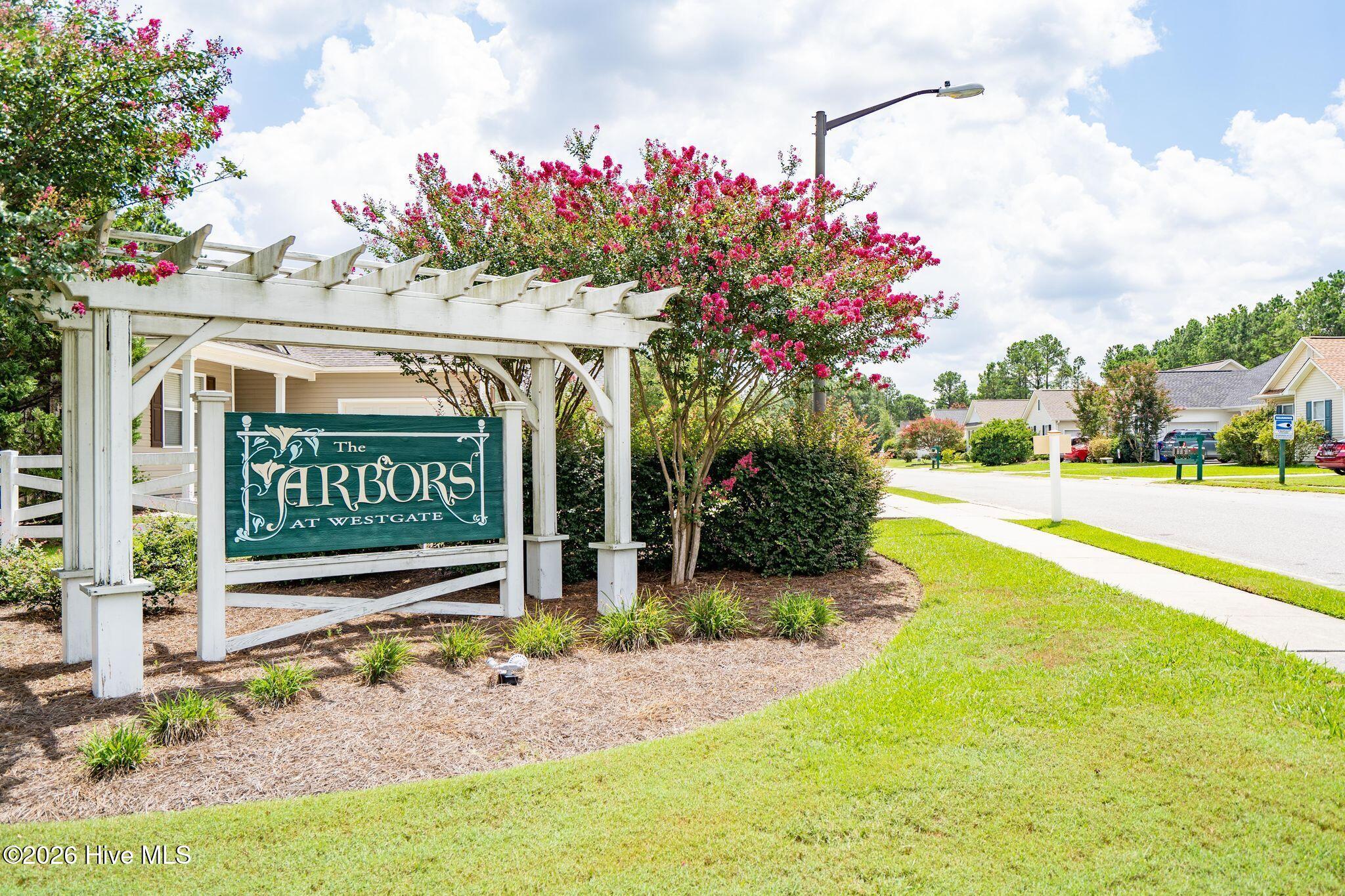 100570513 | Photo 49