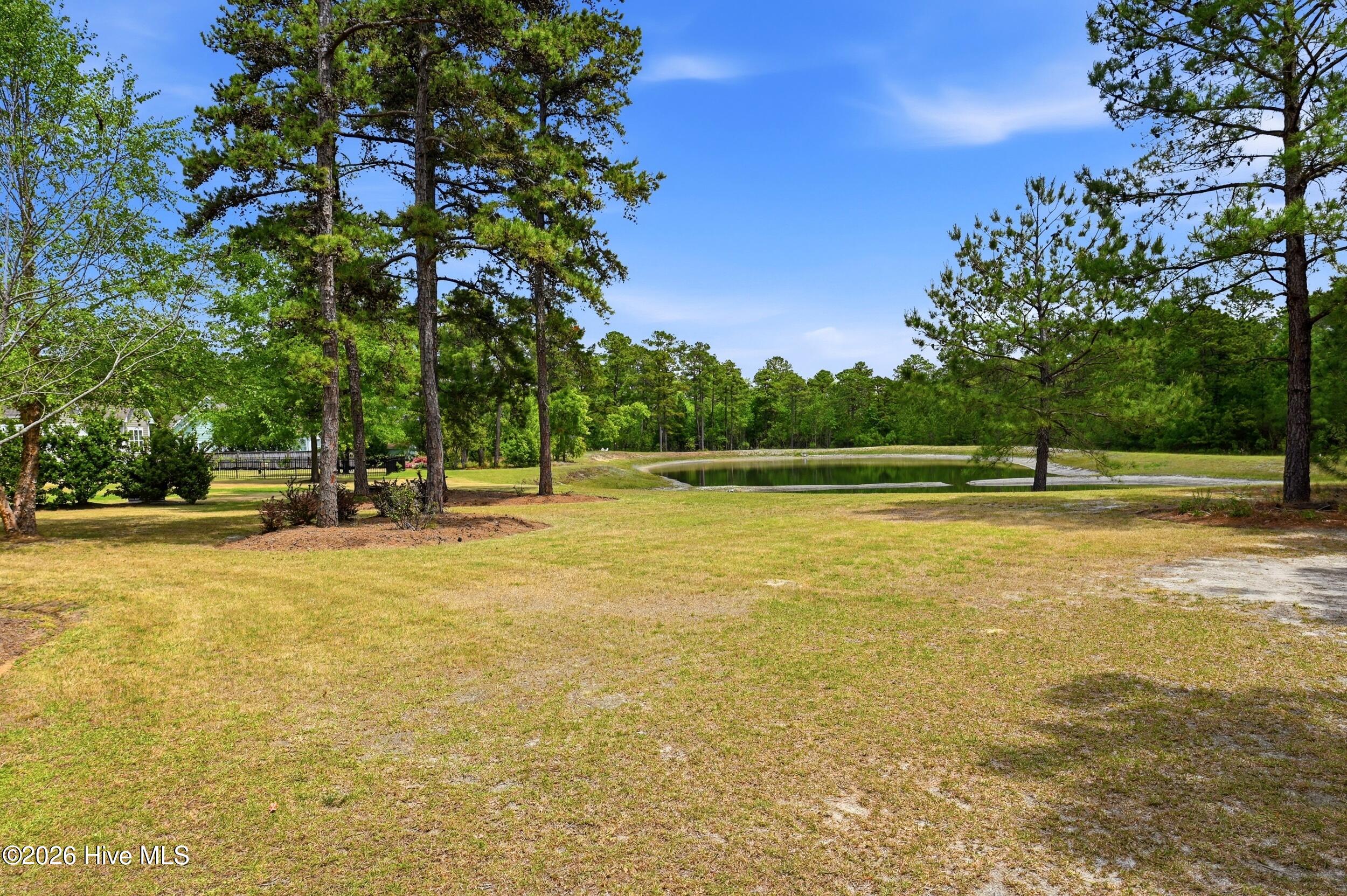 100567855 | Photo 56