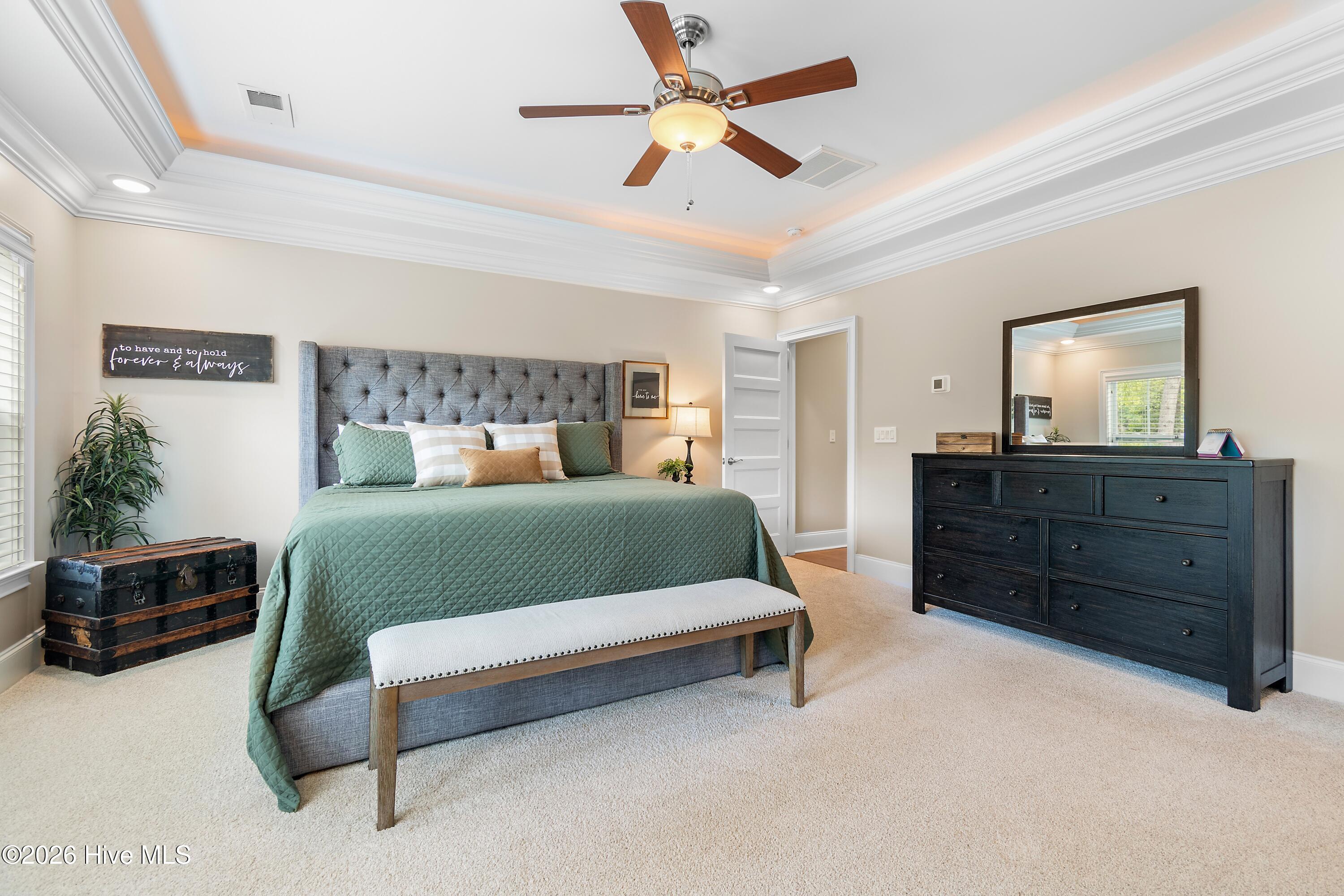 100565384 | Photo 29