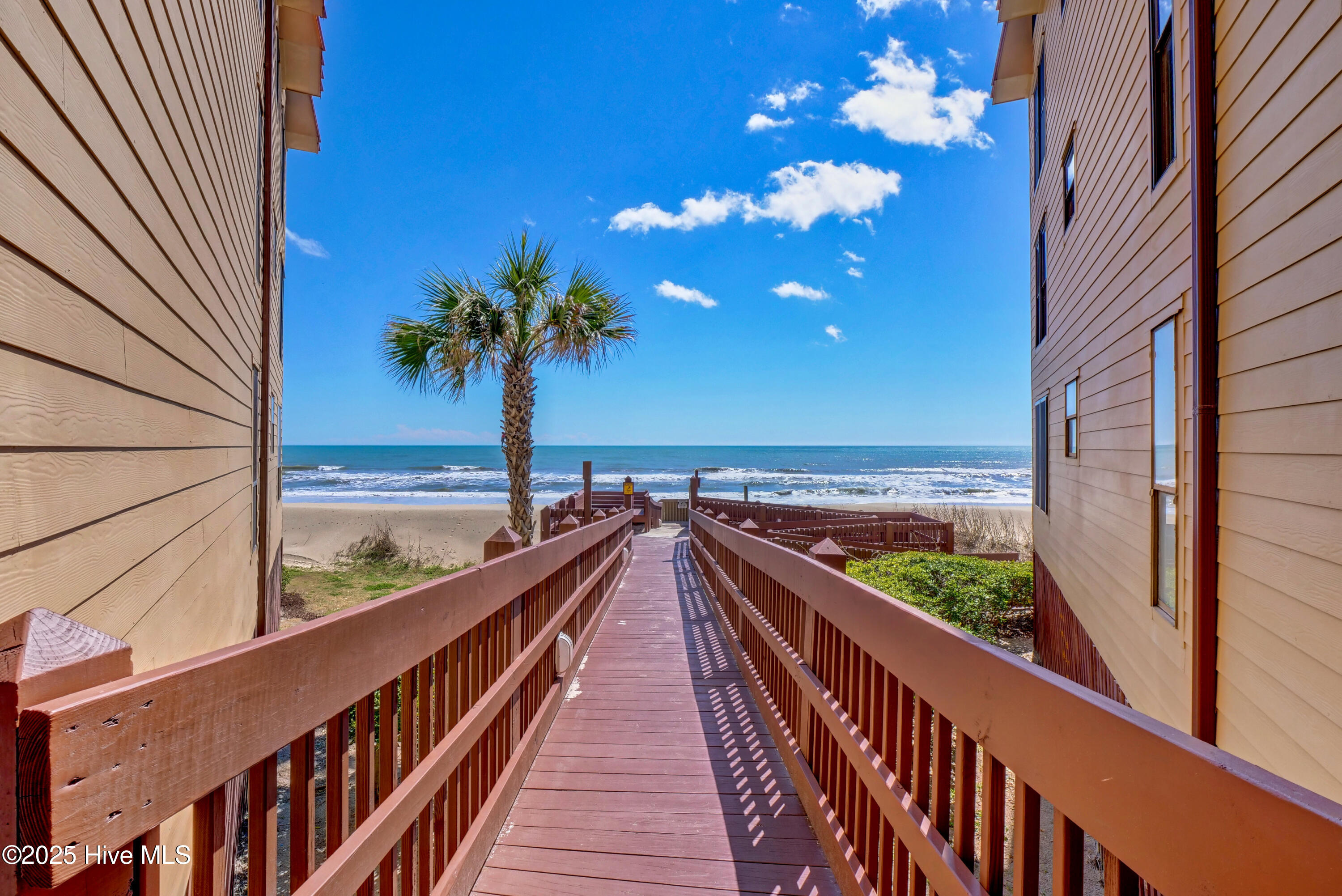 100495558 | Photo 33