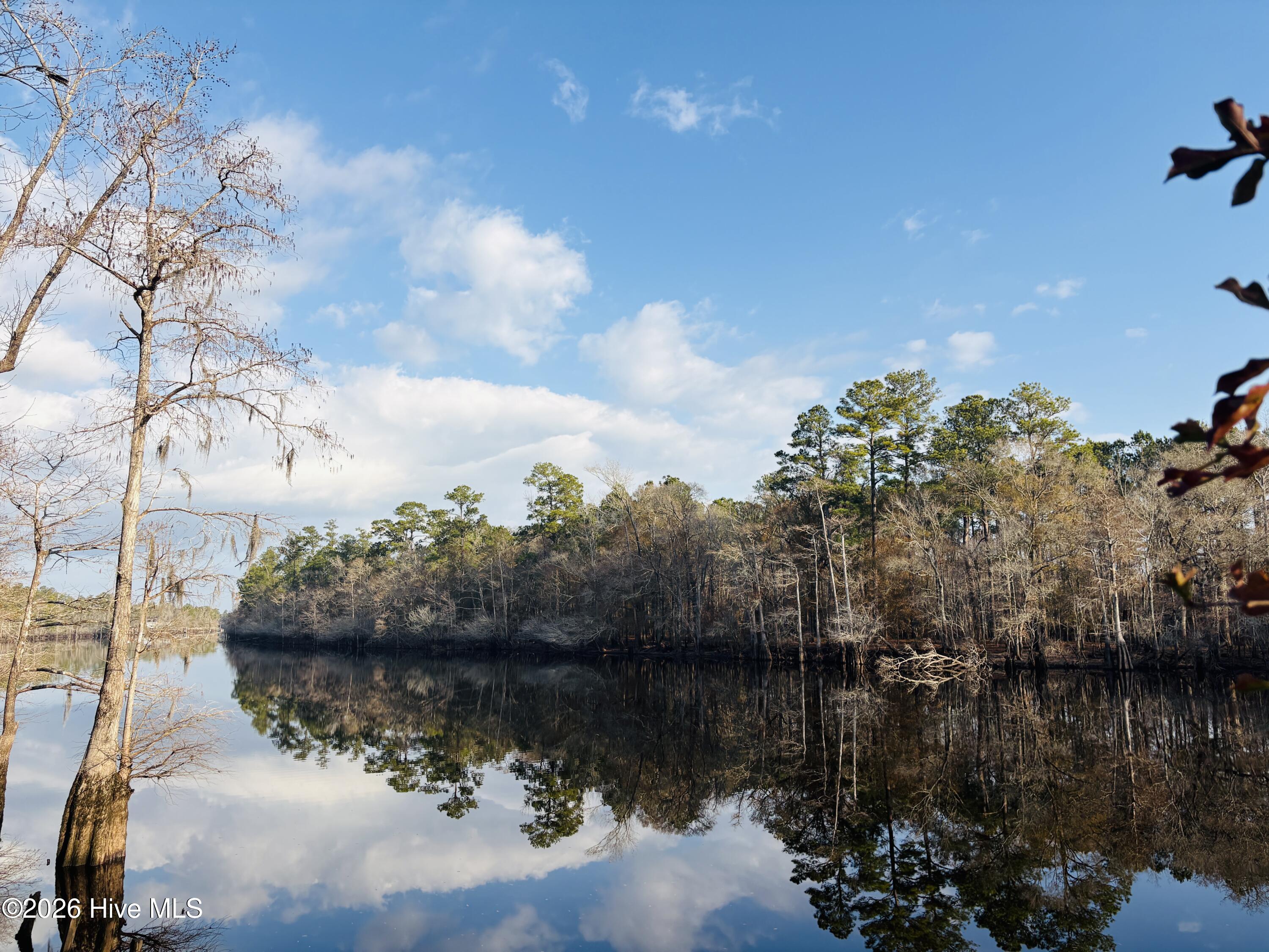 100534439 | Photo 17