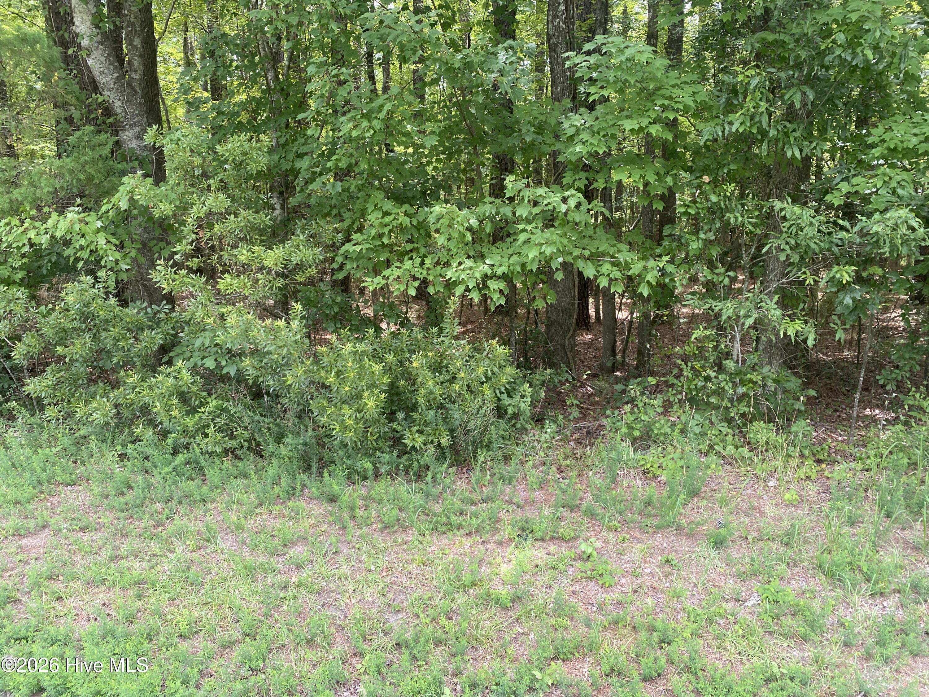 Lot 20 Hollis, Blounts Creek, North Carolina, 0 ,Undeveloped,For sale,Hollis,100590224 Lot 20 Hollis, Blounts Creek, North Carolina, 0 ,Undeveloped,For sale,Hollis,100590224