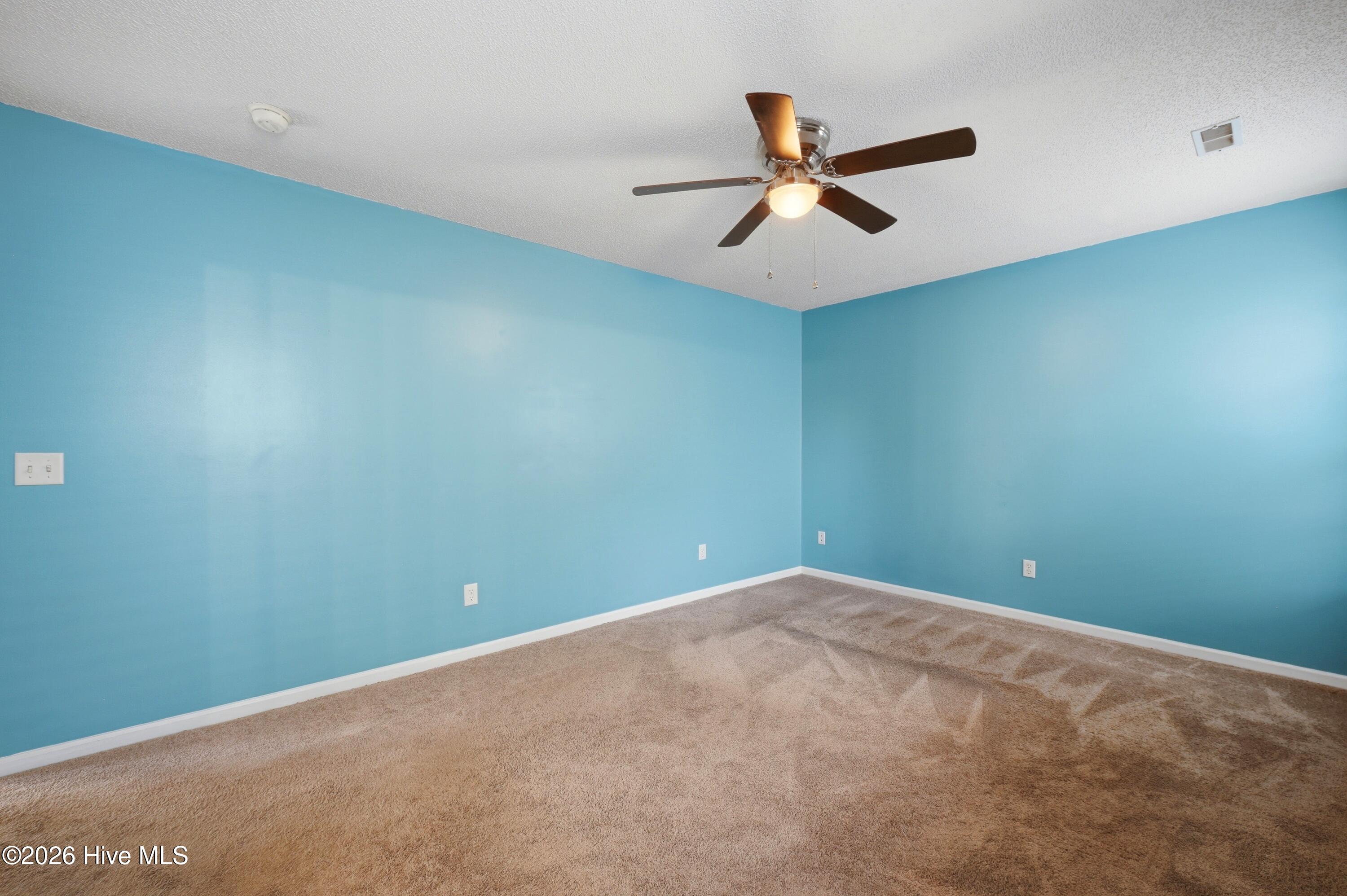 100564031 | Photo 16