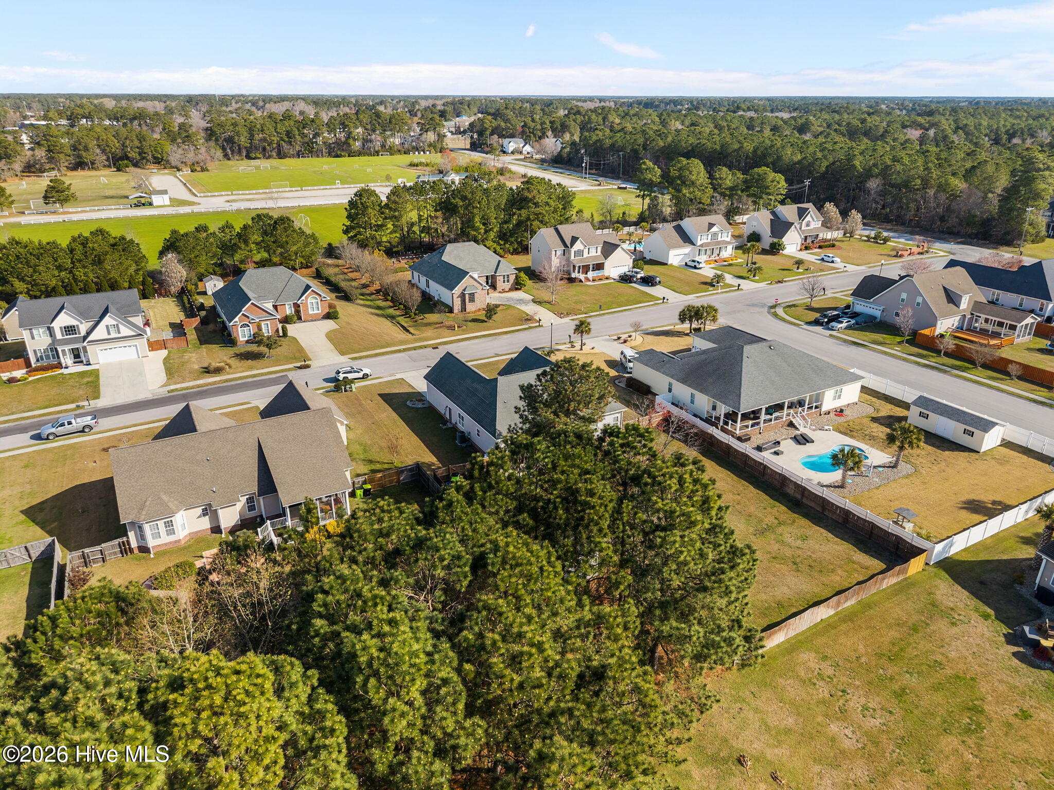 100558969 | Photo 16