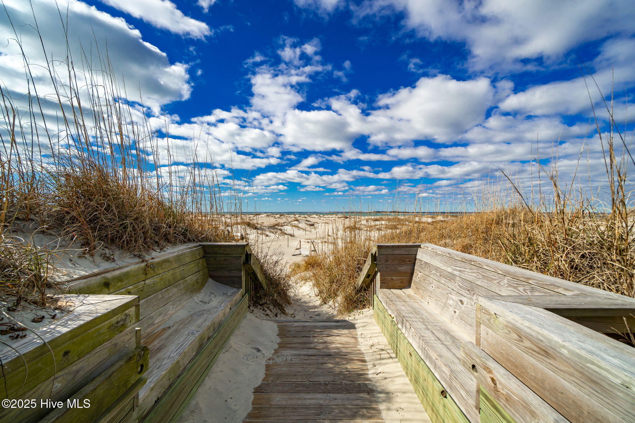 100527418 | Photo 53